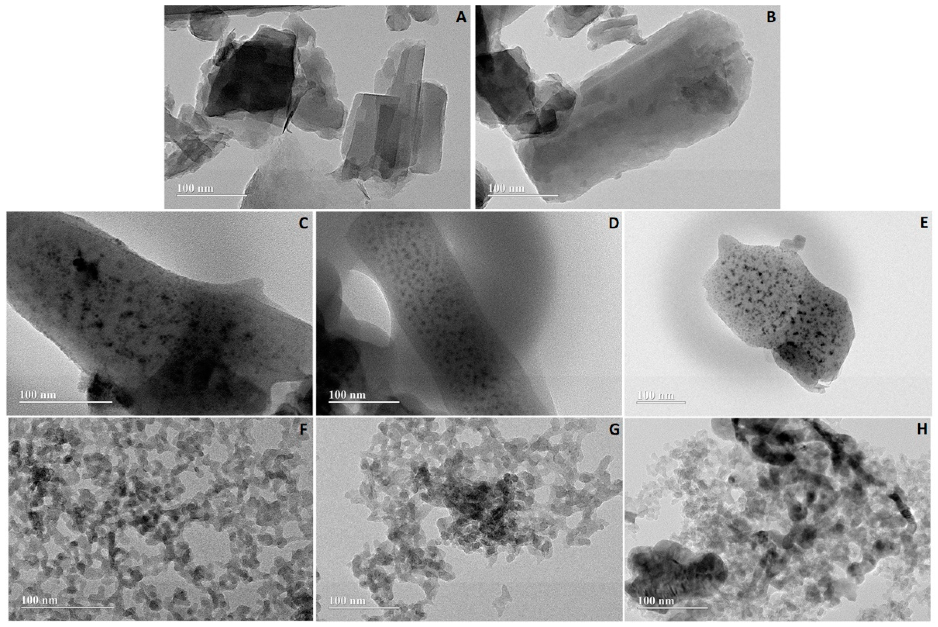 Catalysts 13 00610 g003