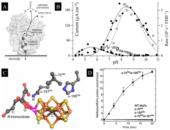 Catalysts 13 00611 g002