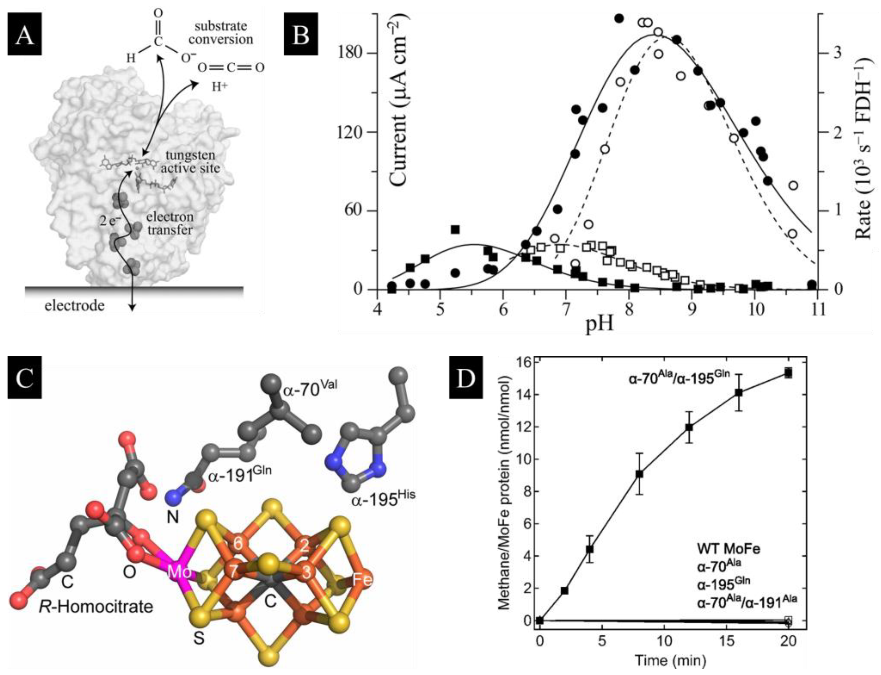 Catalysts 13 00611 g002 Catalysts 13 00611 g002