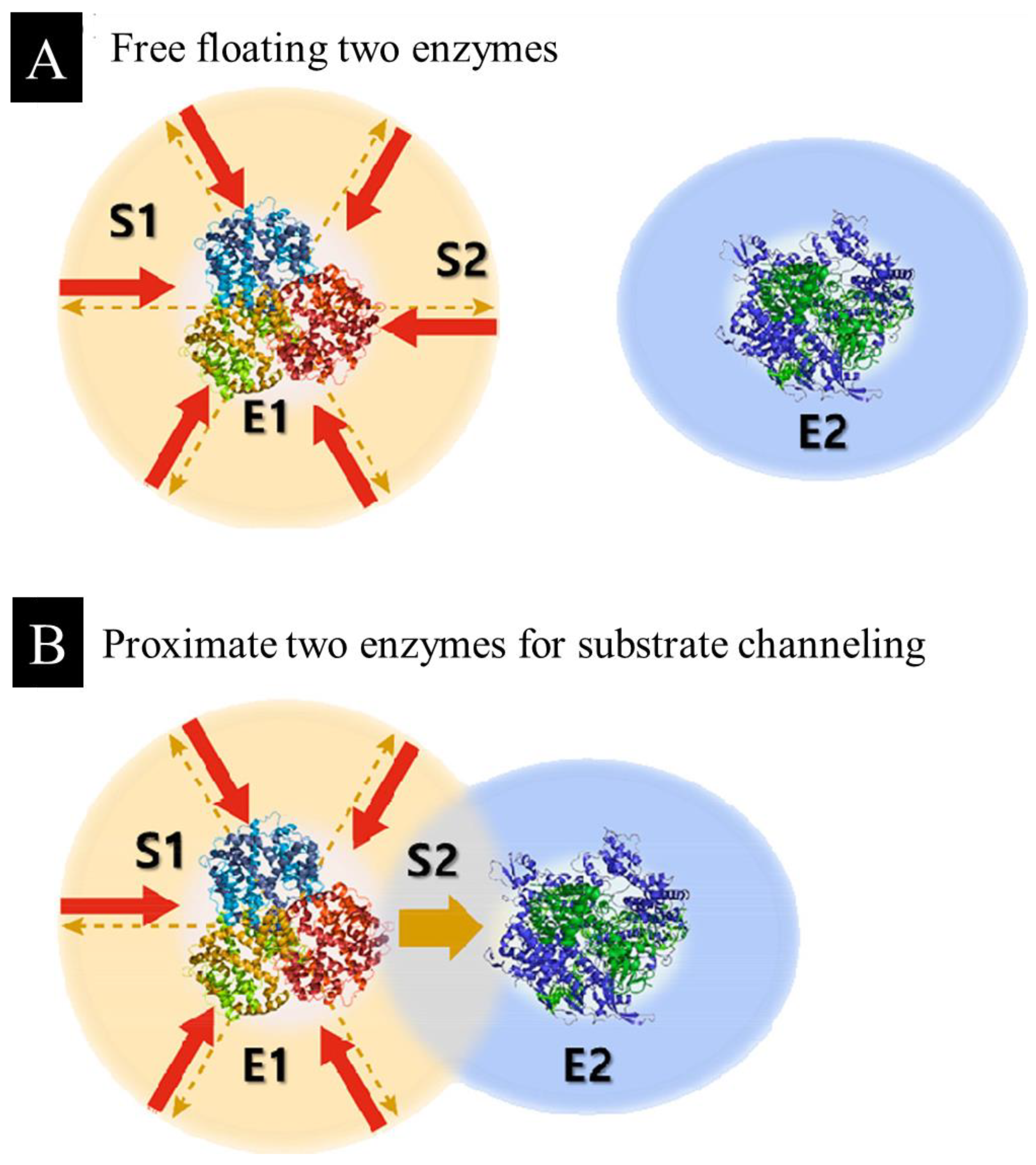 Catalysts 13 00611 g003 Catalysts 13 00611 g003