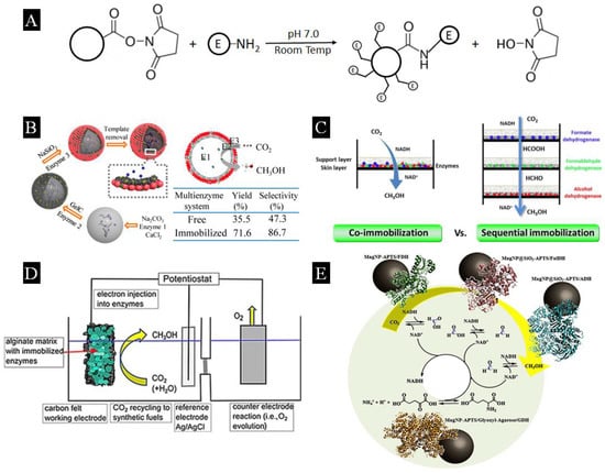 Catalysts 13 00611 g004