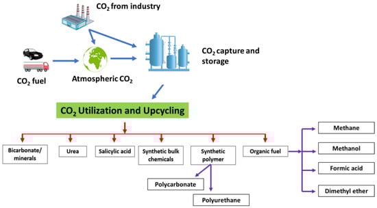 Catalysts 13 00611 g006