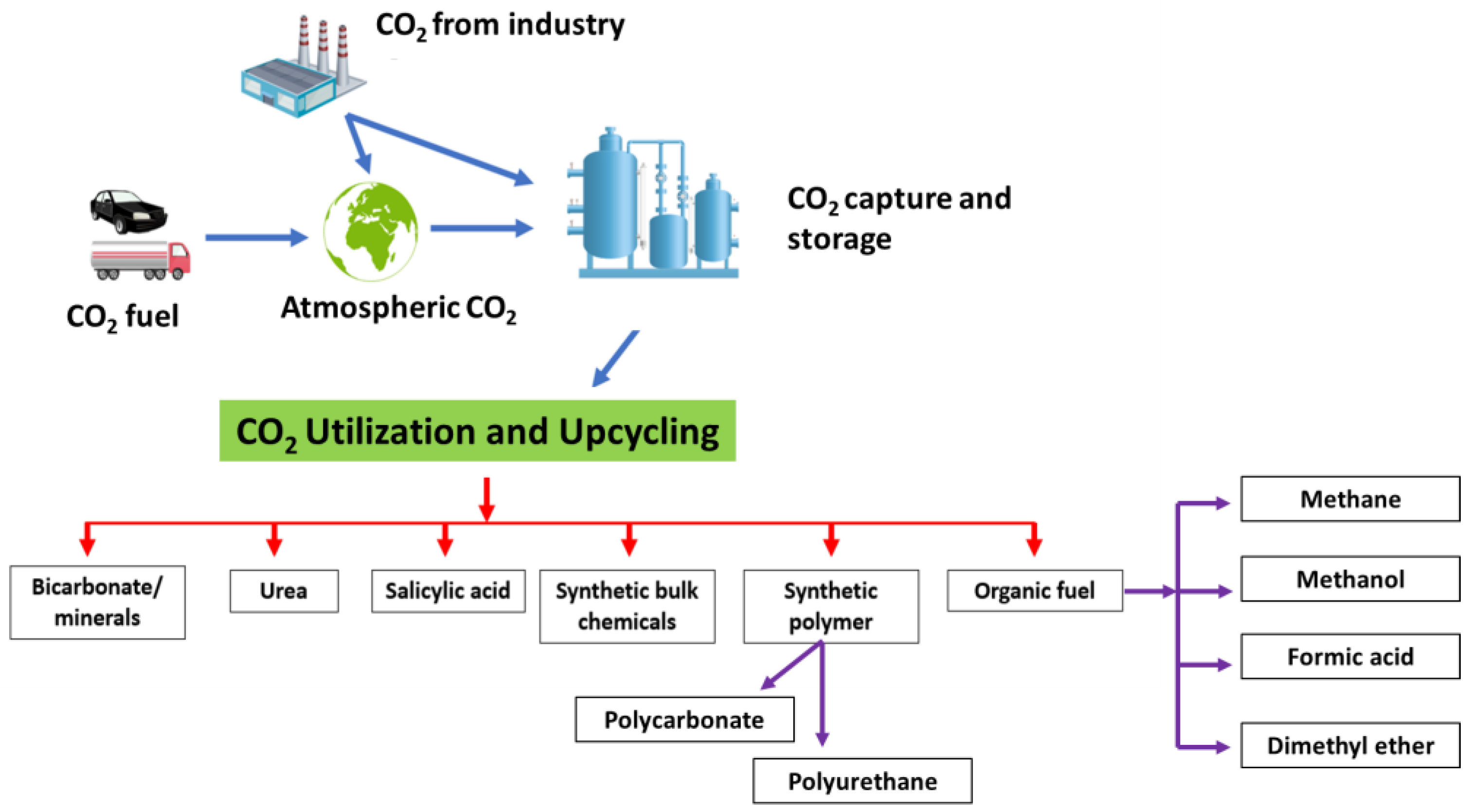 Catalysts 13 00611 g006 Catalysts 13 00611 g006