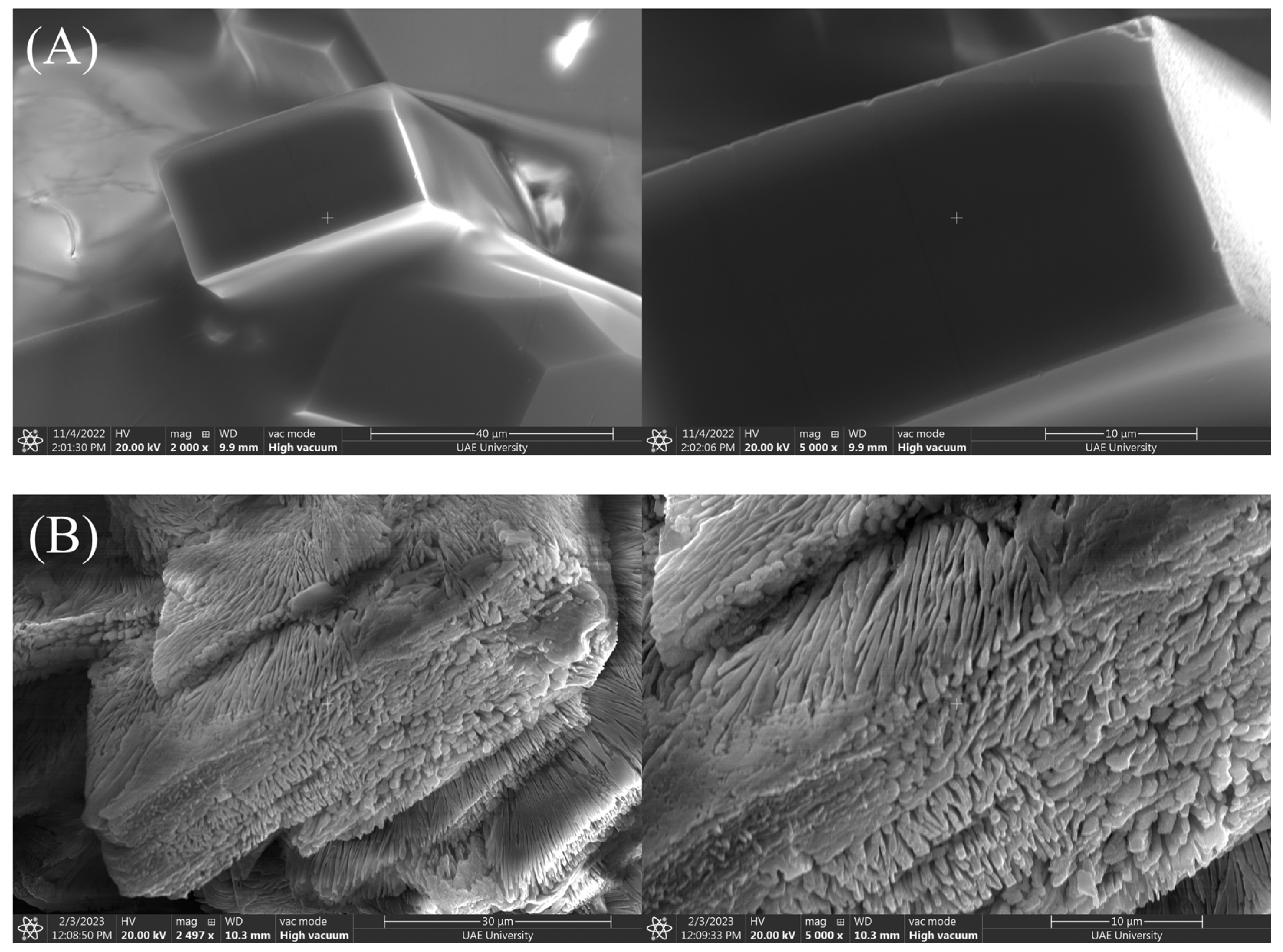 Catalysts 13 00613 g003 Catalysts 13 00613 g003