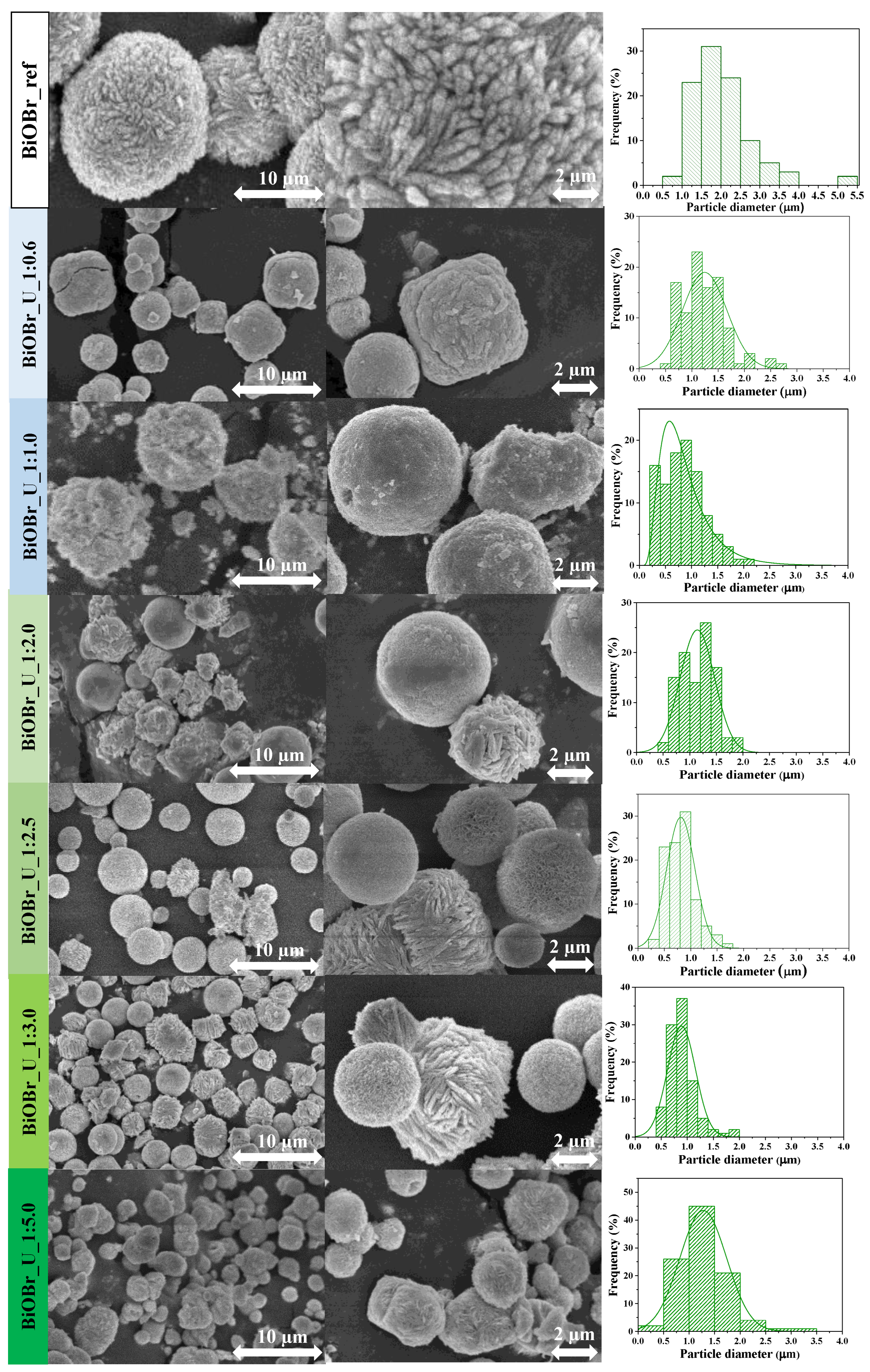 Catalysts 13 00616 g002