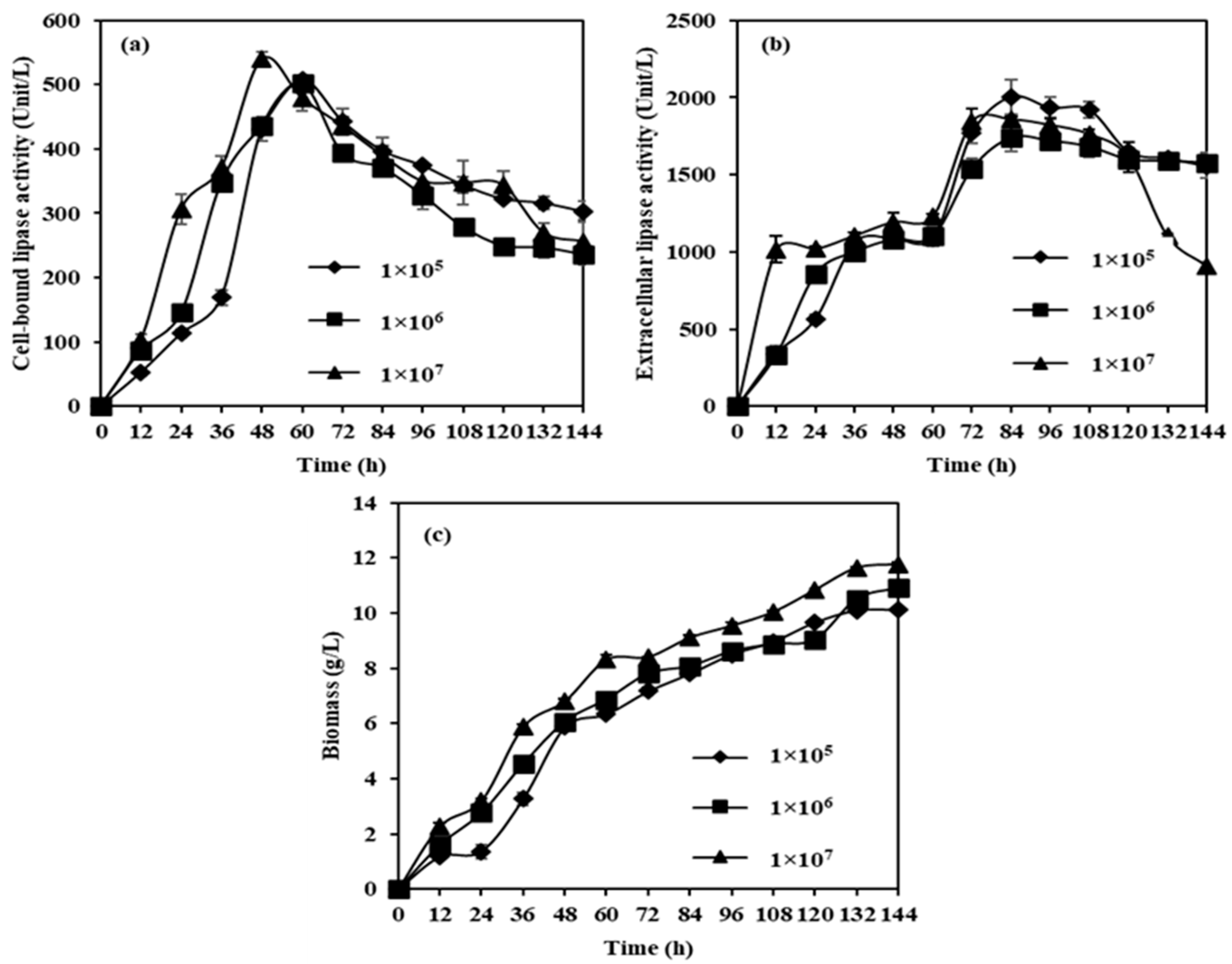 Catalysts 13 00617 g001
