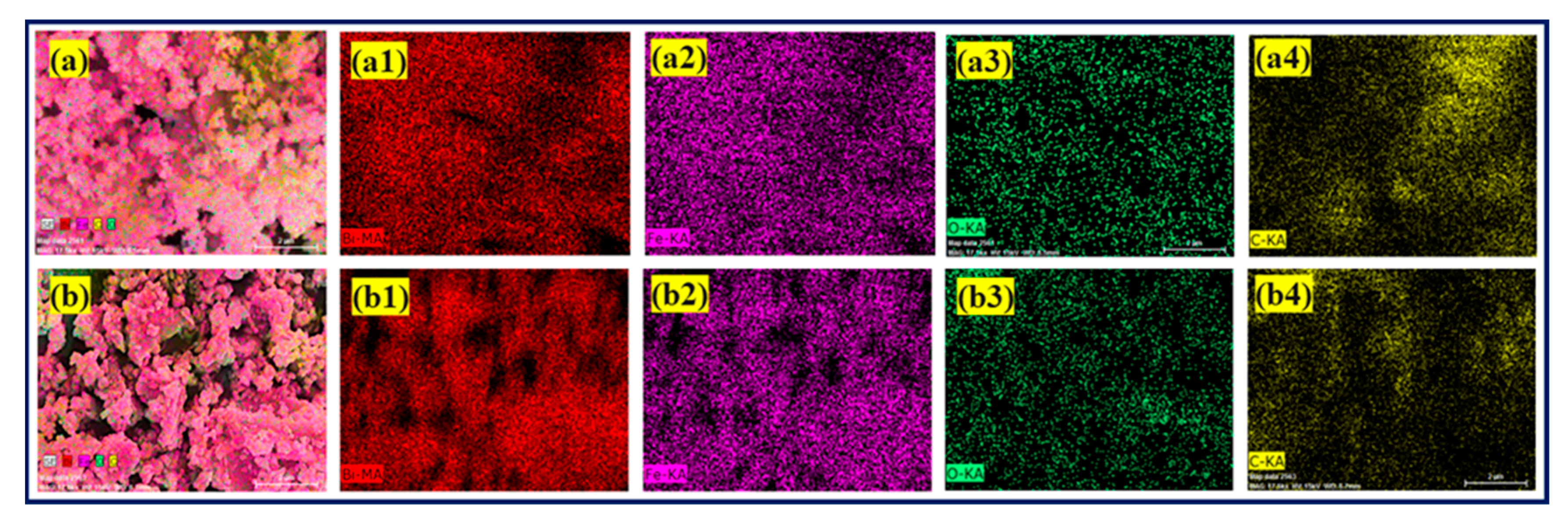 Catalysts 13 00618 g003