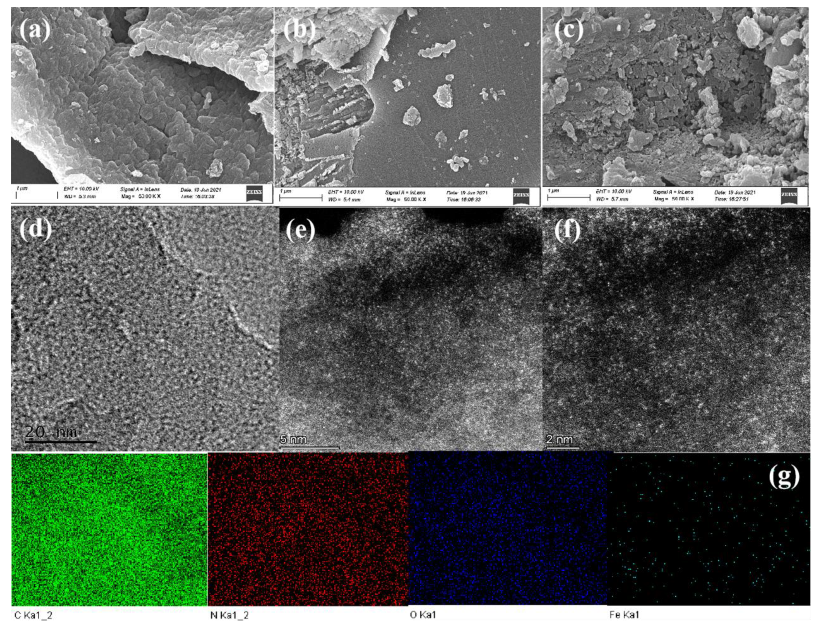 Catalysts 13 00619 g001