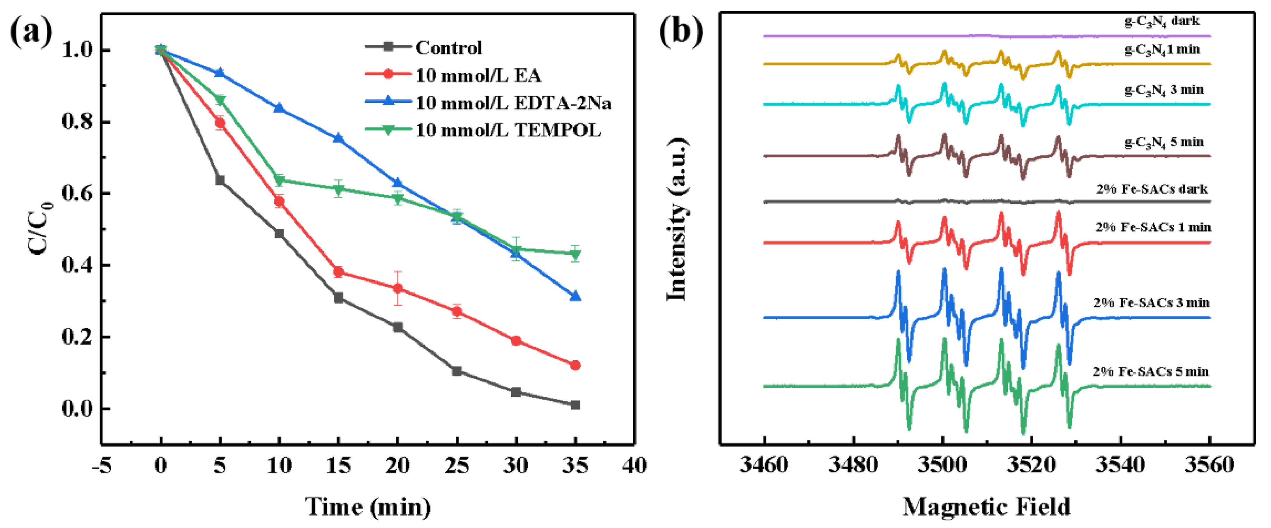 Catalysts 13 00619 g009