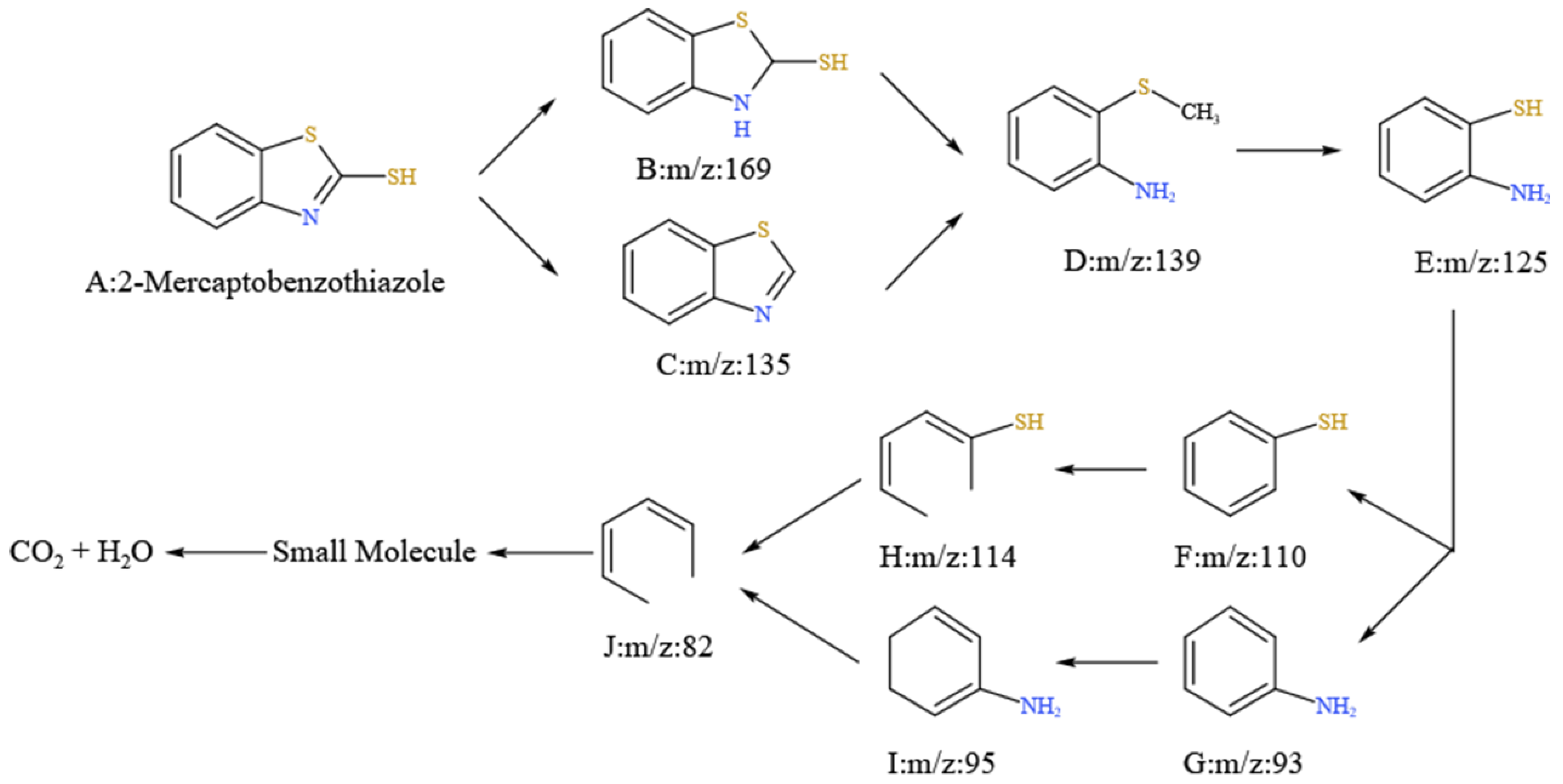 Catalysts 13 00619 g011