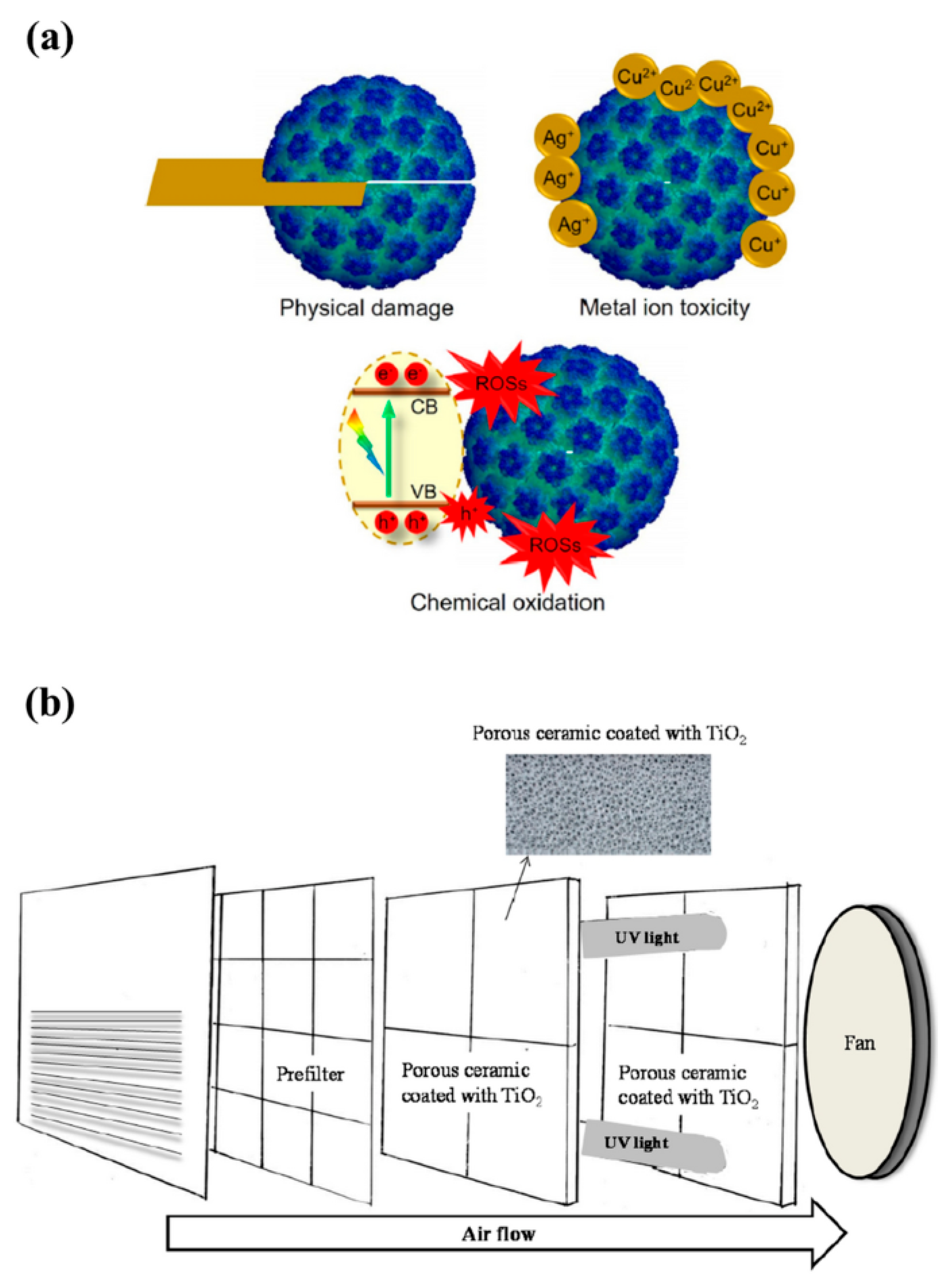 Catalysts 13 00620 g002