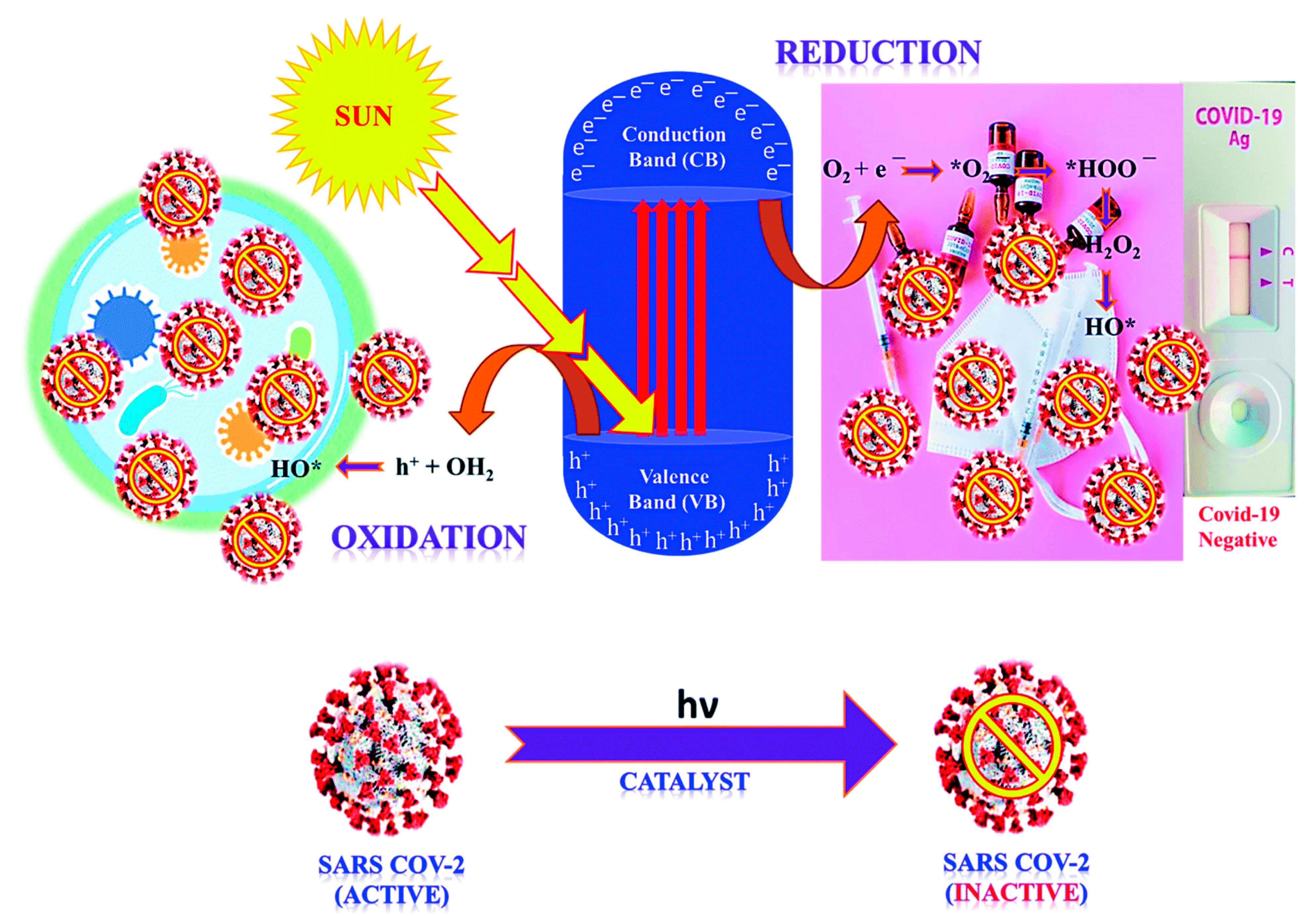 Catalysts 13 00620 g003