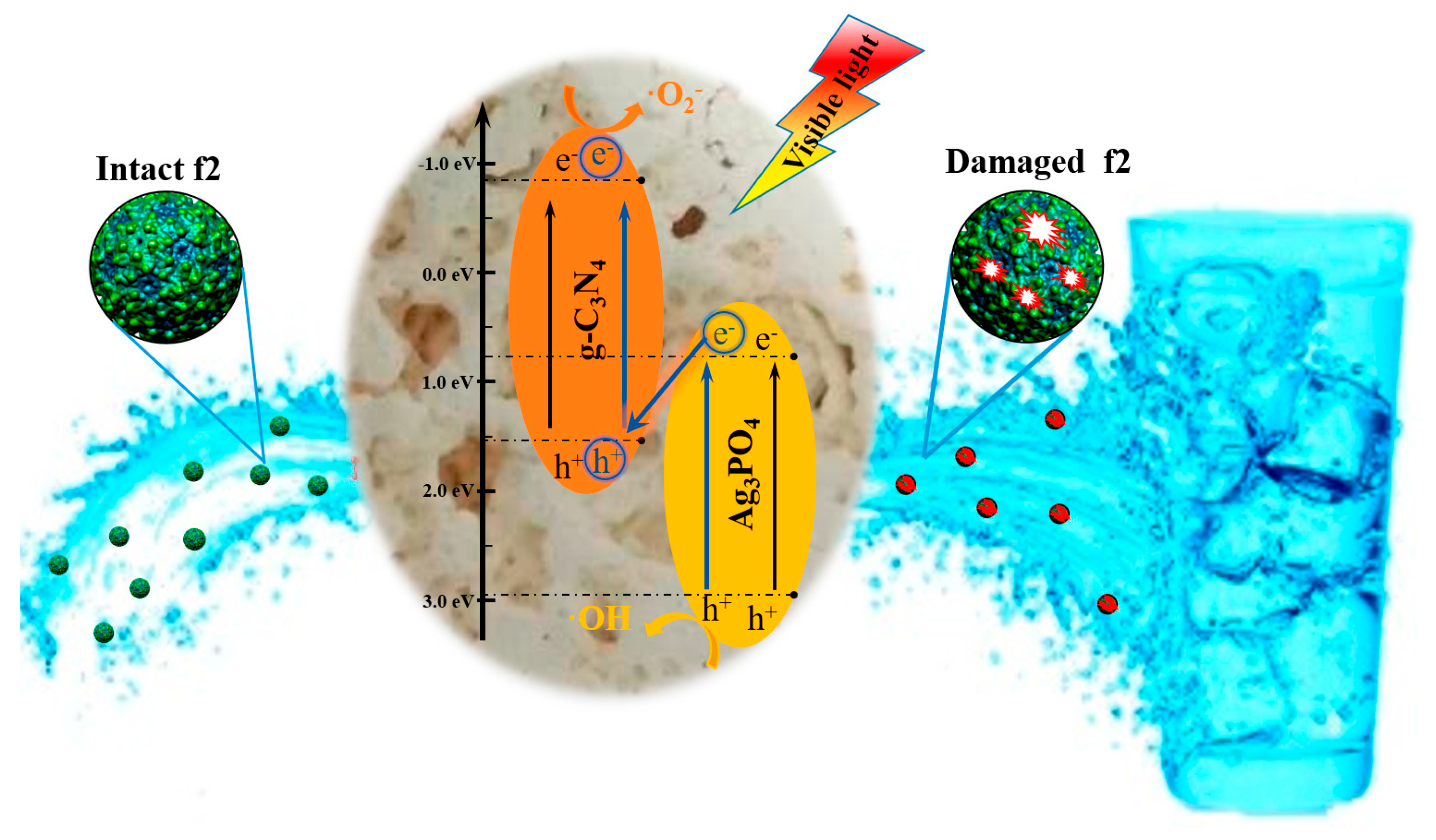 Catalysts 13 00620 g005