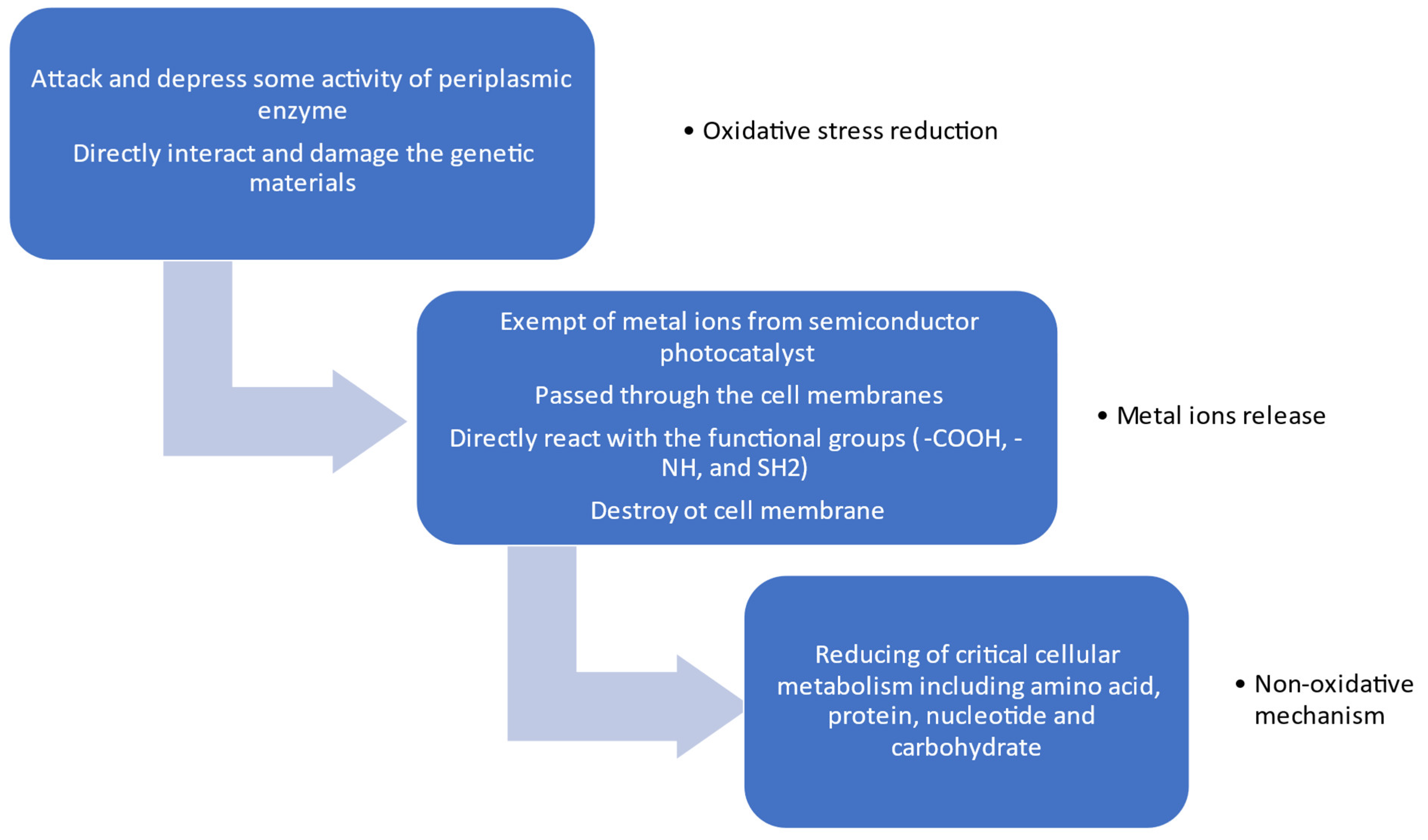 Catalysts 13 00620 g006