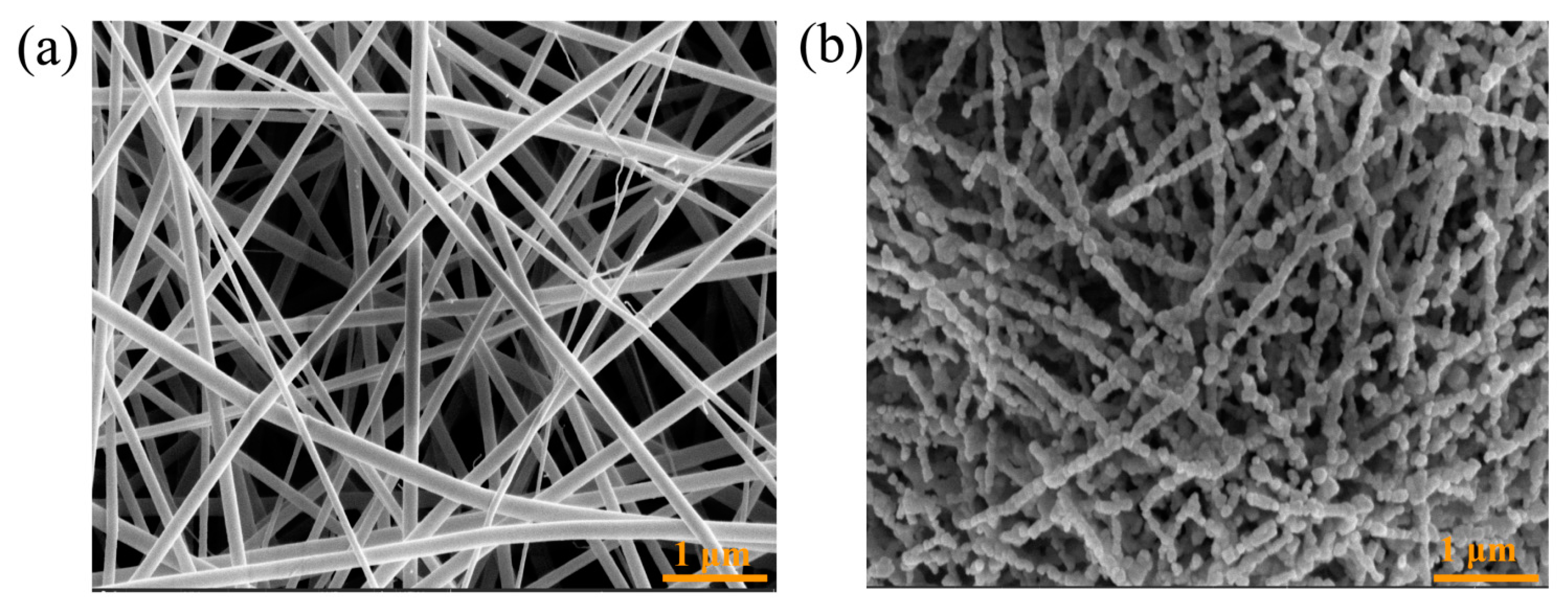 Catalysts 13 00621 g001 Catalysts 13 00621 g001