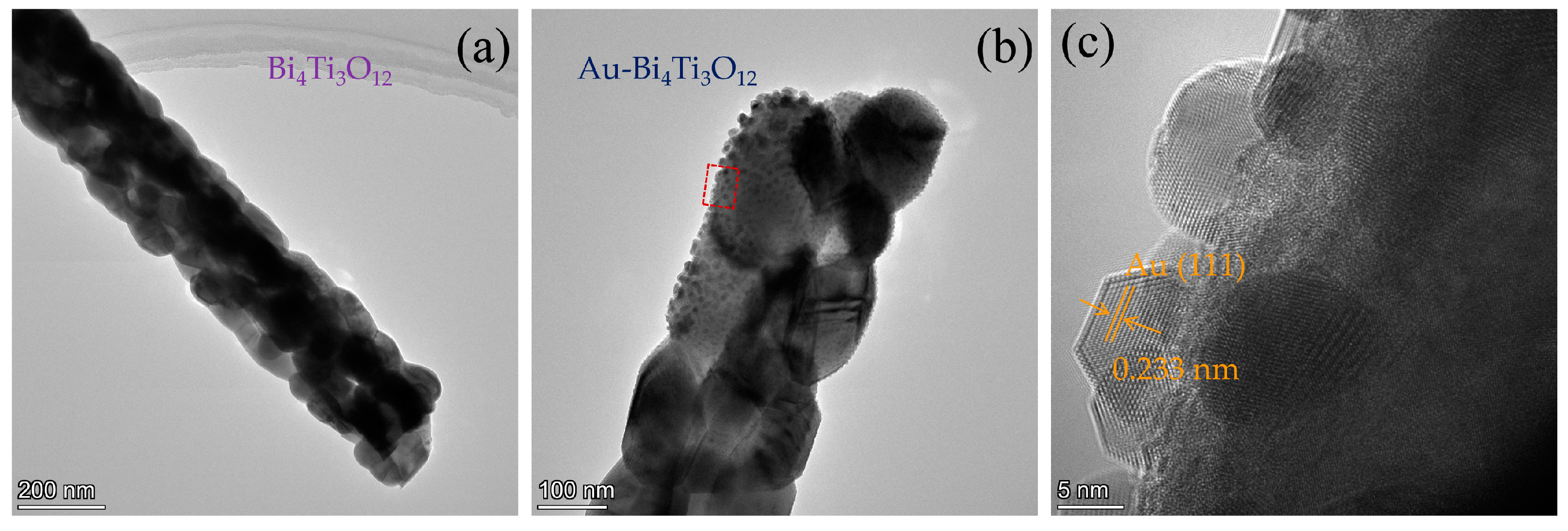 Catalysts 13 00621 g002 Catalysts 13 00621 g002