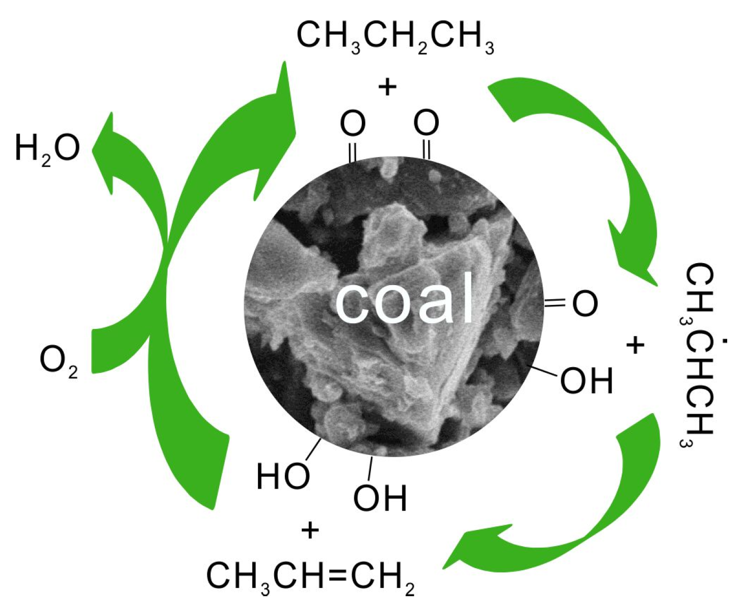 Catalysts 13 00628 g008