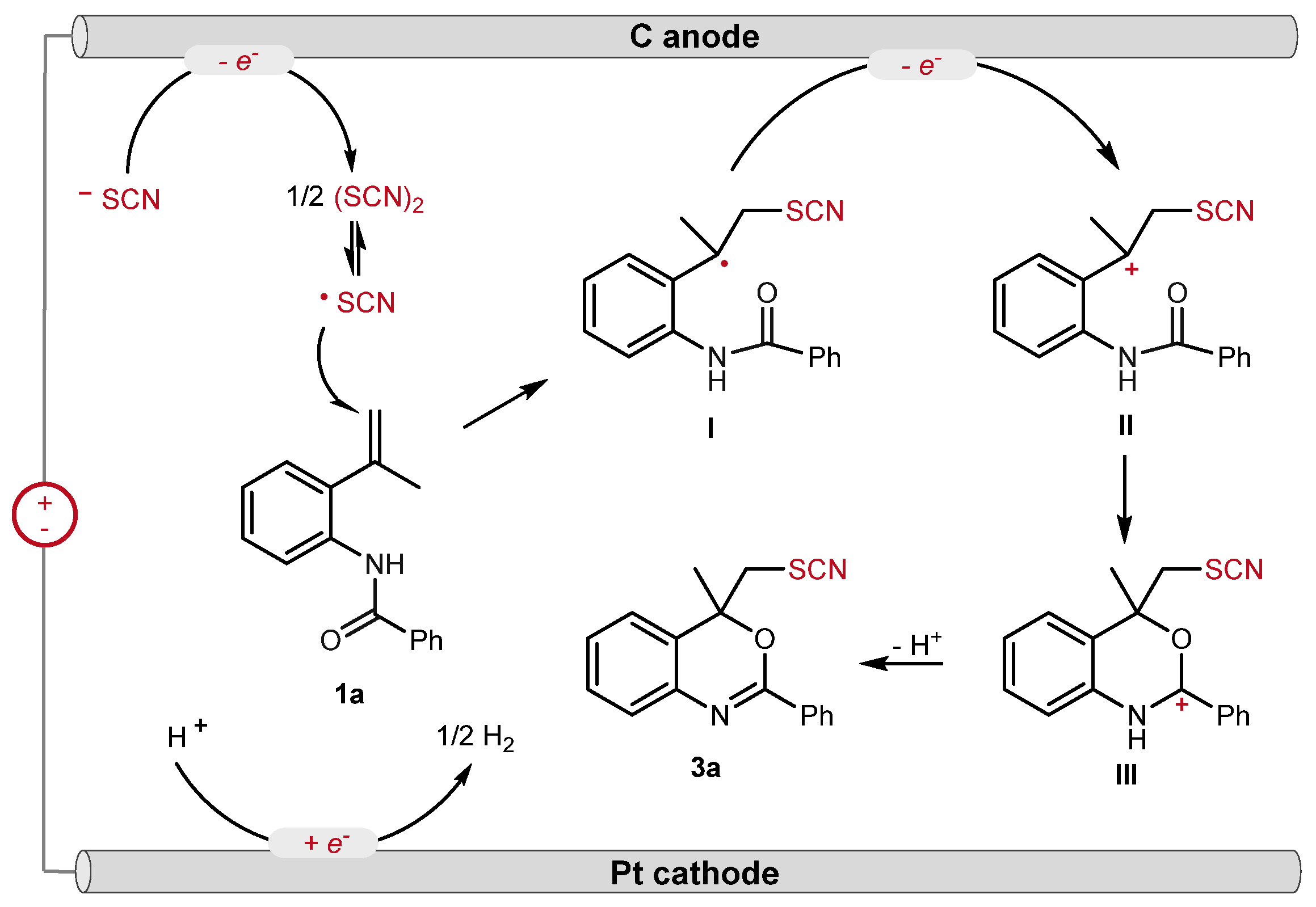 Catalysts 13 00631 sch004