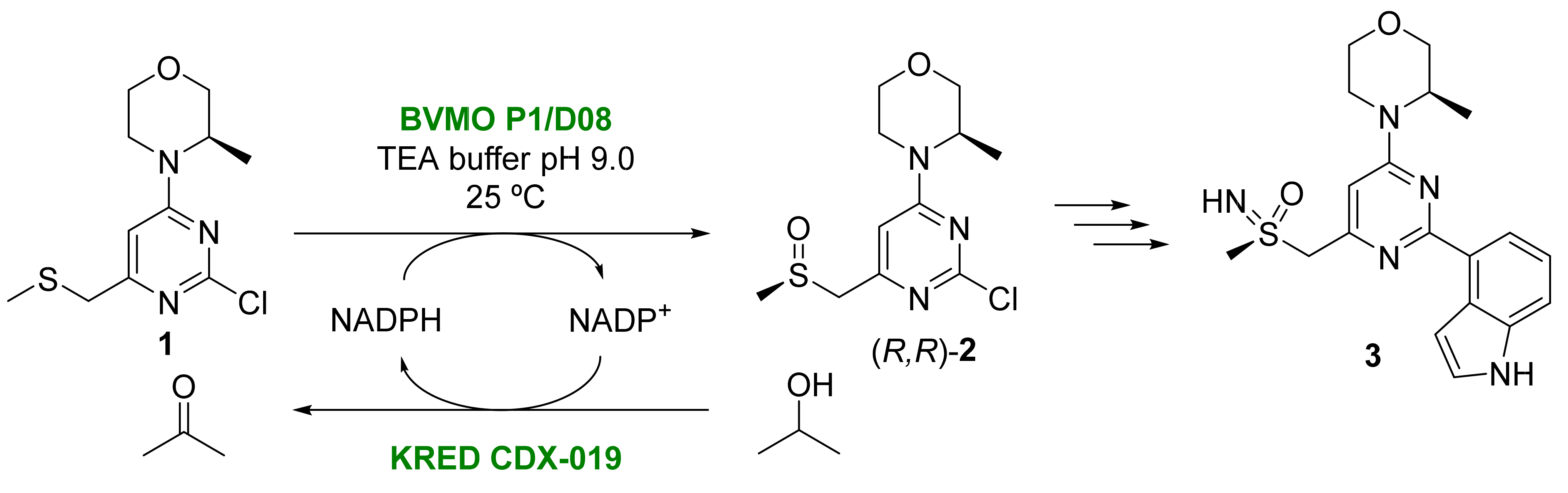 Catalysts 13 00638 sch003
