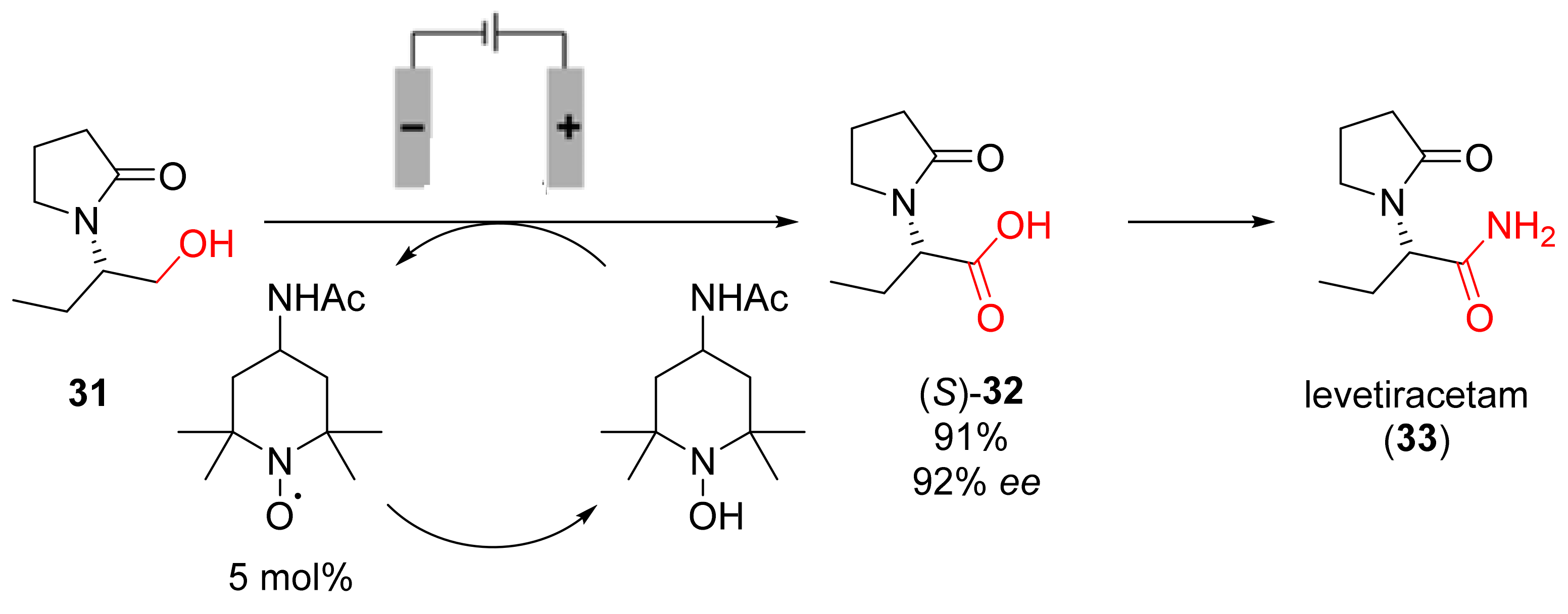 Catalysts 13 00638 sch013