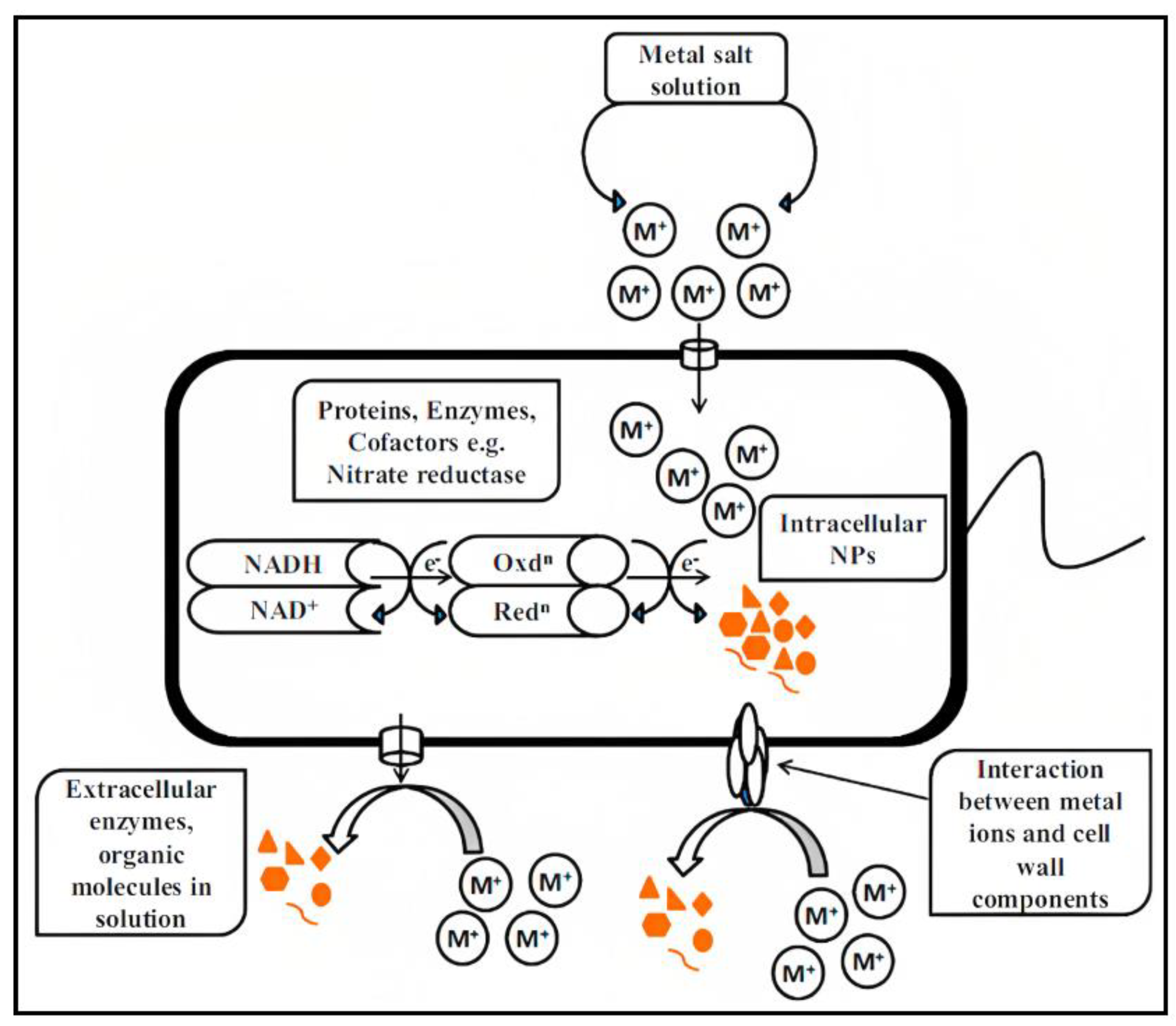 Catalysts 13 00642 g003
