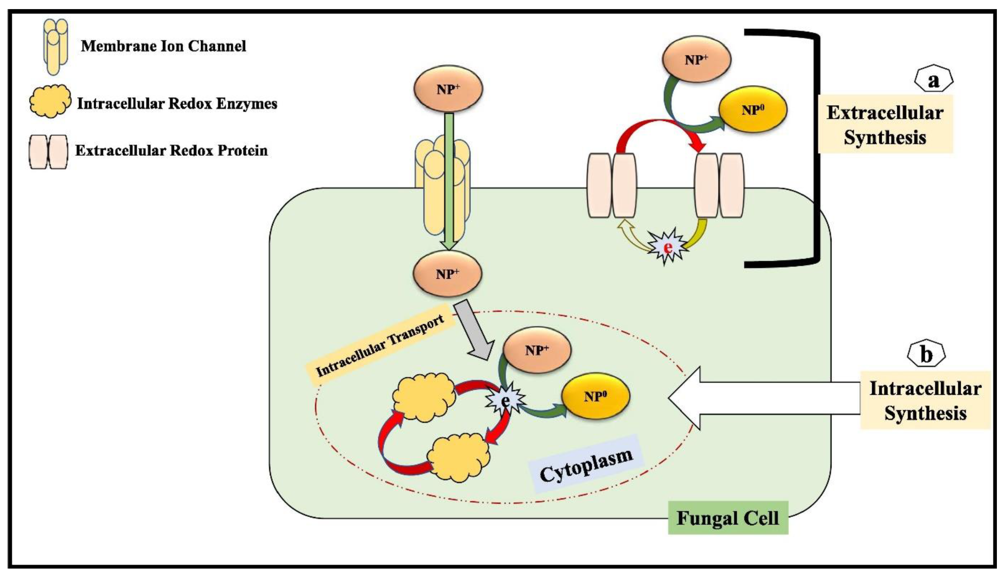 Catalysts 13 00642 g004