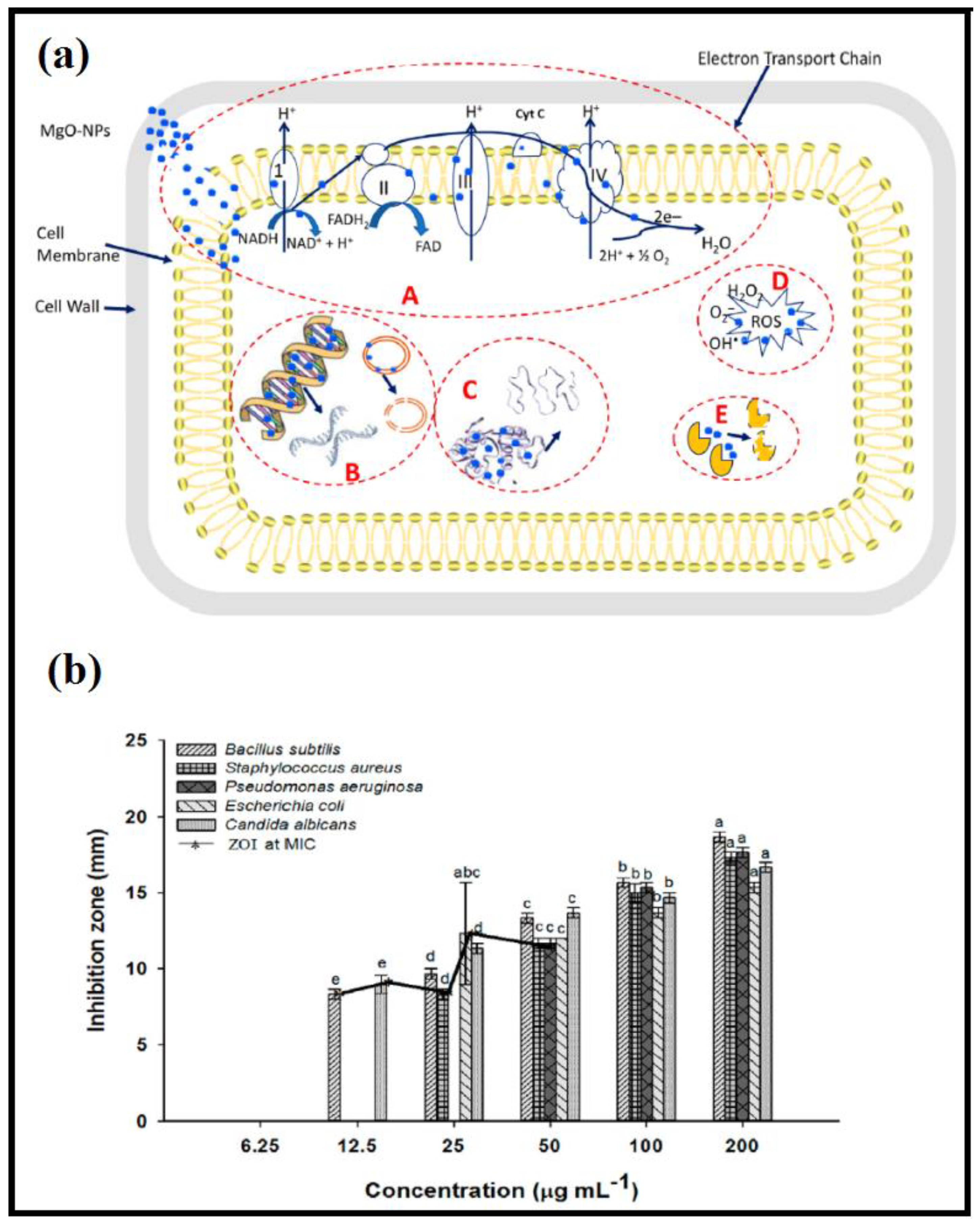 Catalysts 13 00642 g005
