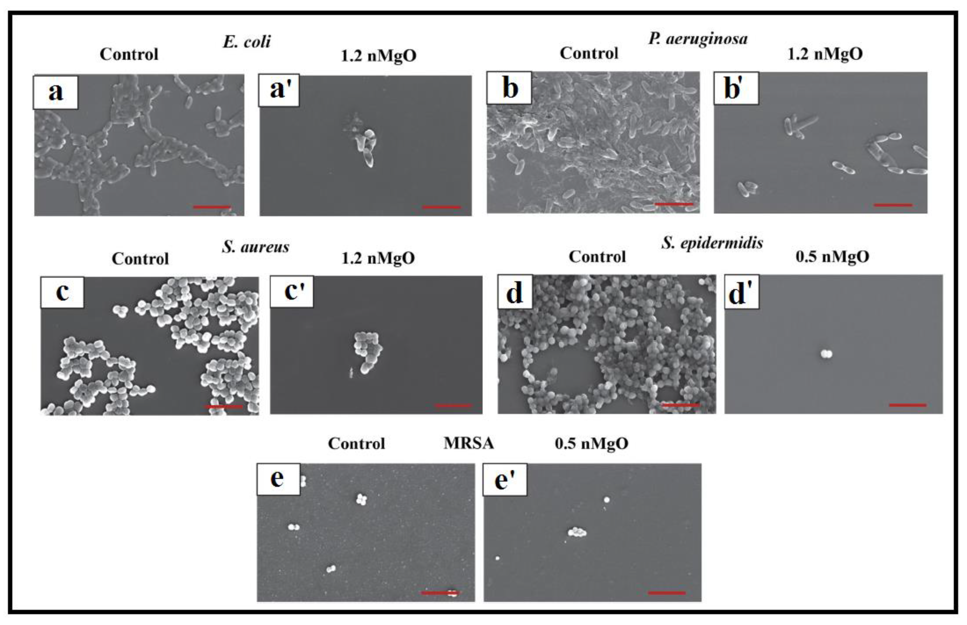 Catalysts 13 00642 g006