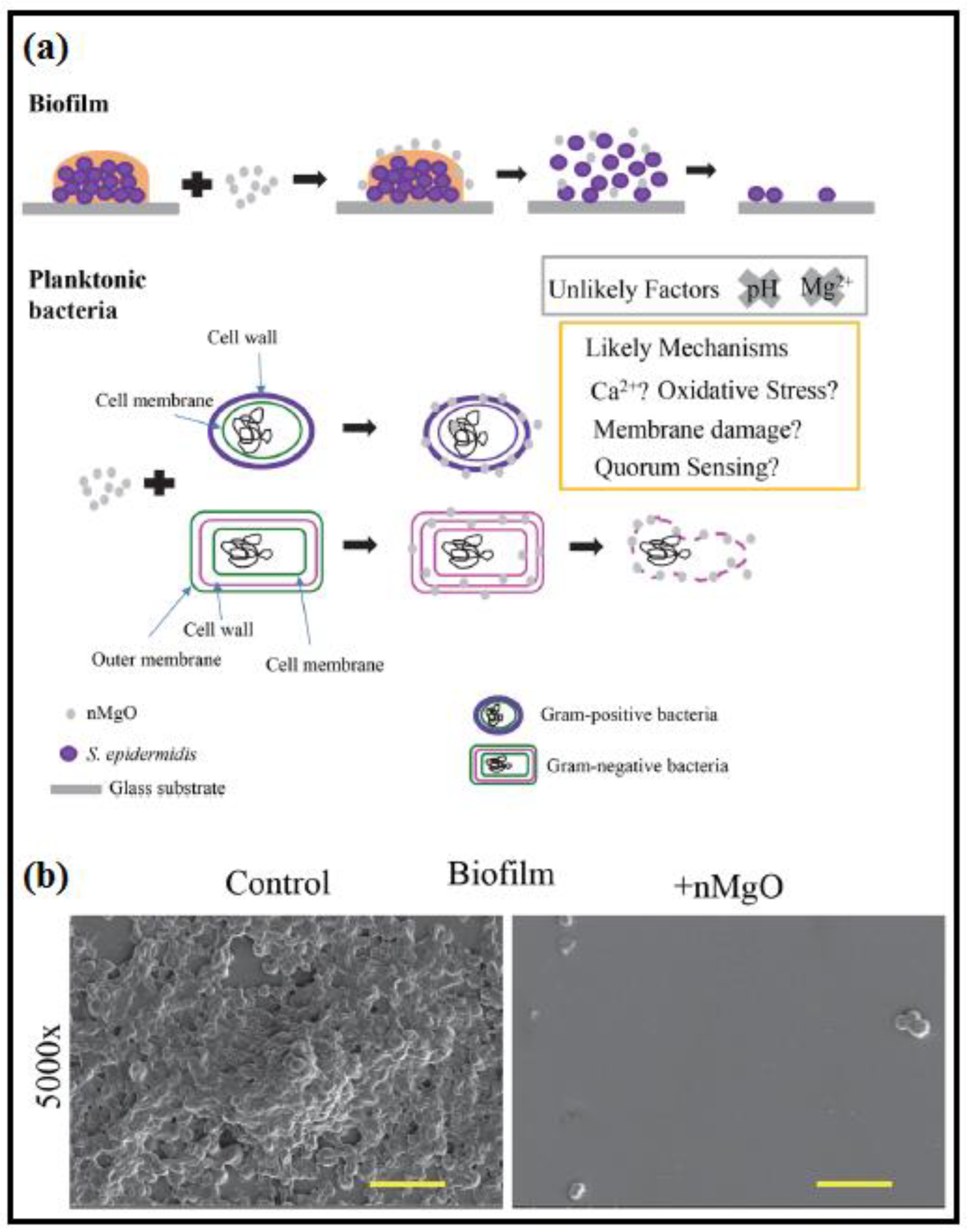 Catalysts 13 00642 g007