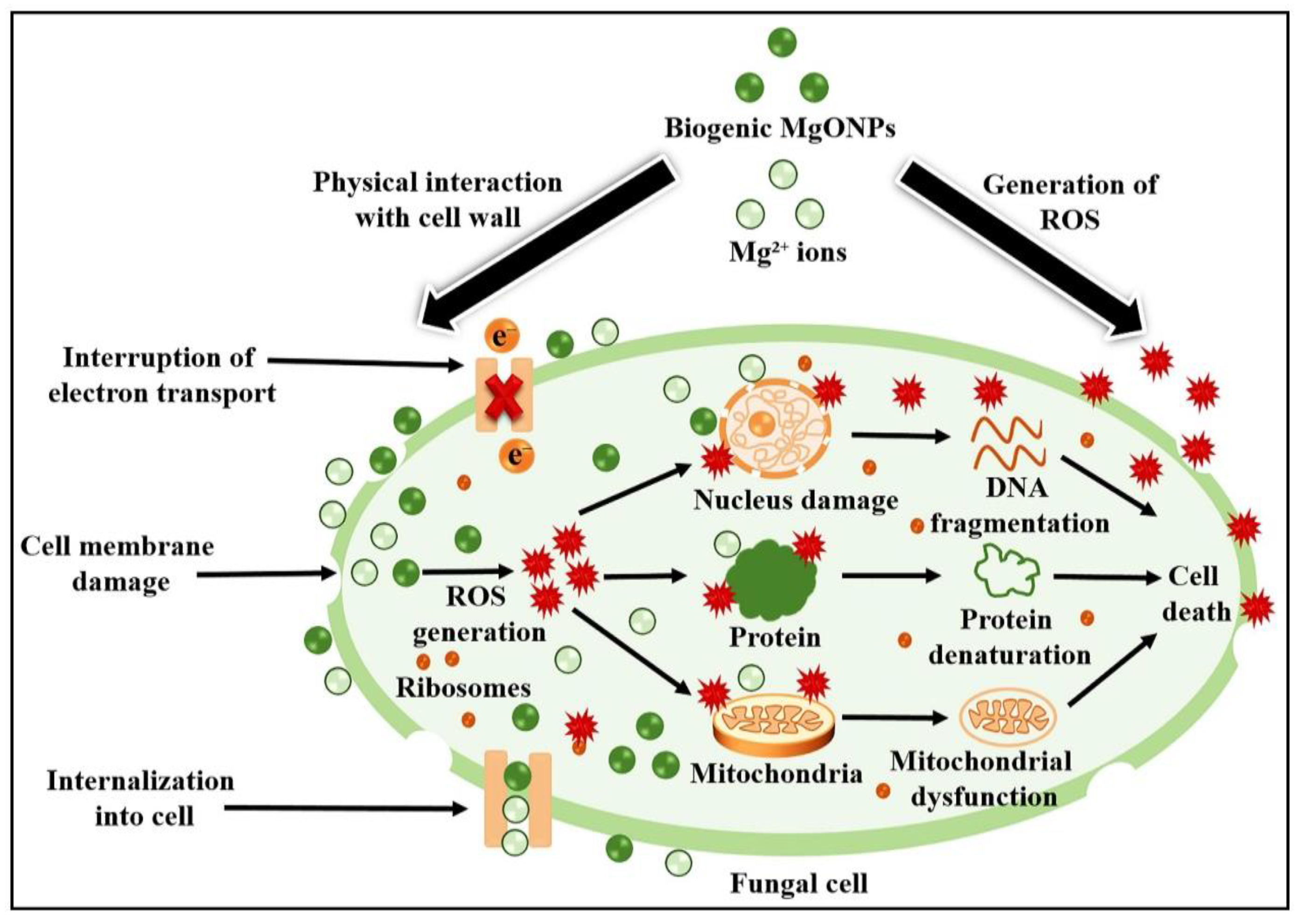 Catalysts 13 00642 g008