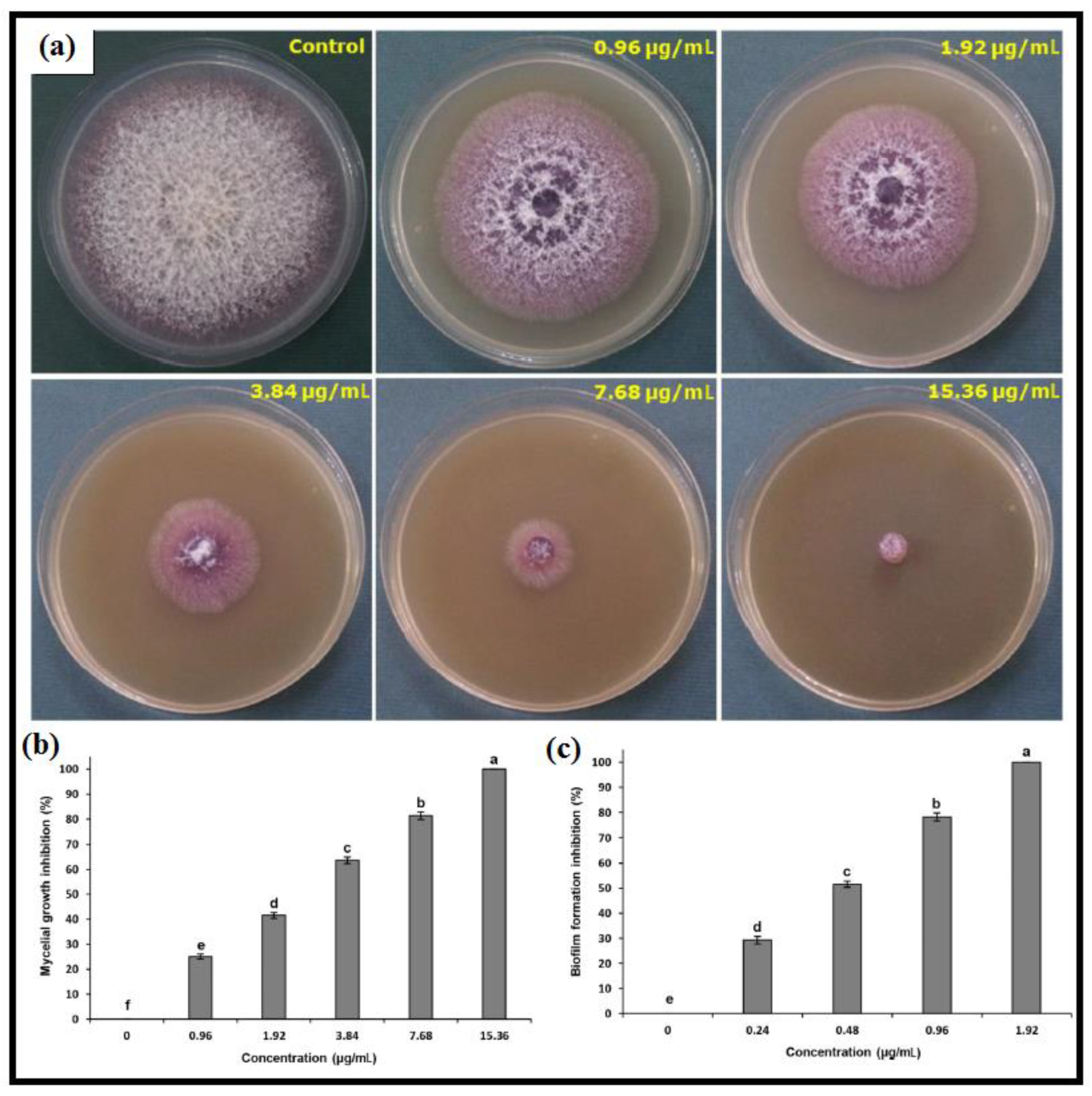 Catalysts 13 00642 g009