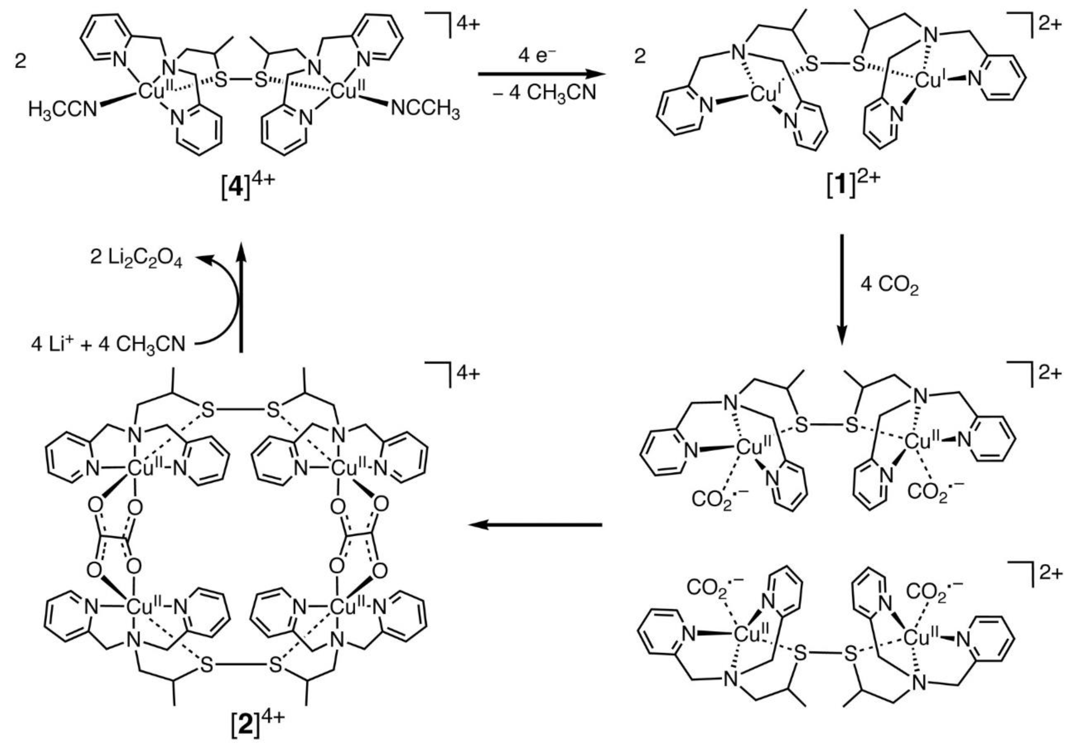 Catalysts 13 00644 g002