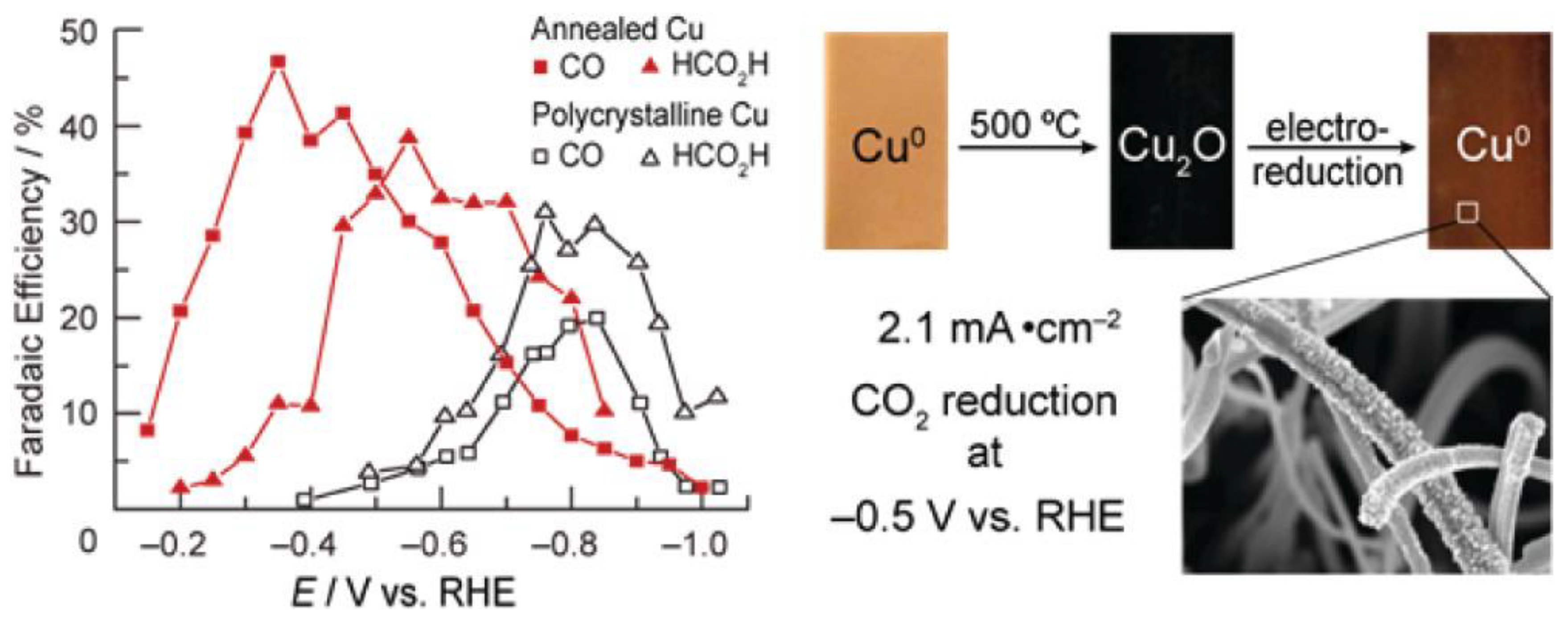 Catalysts 13 00644 g003
