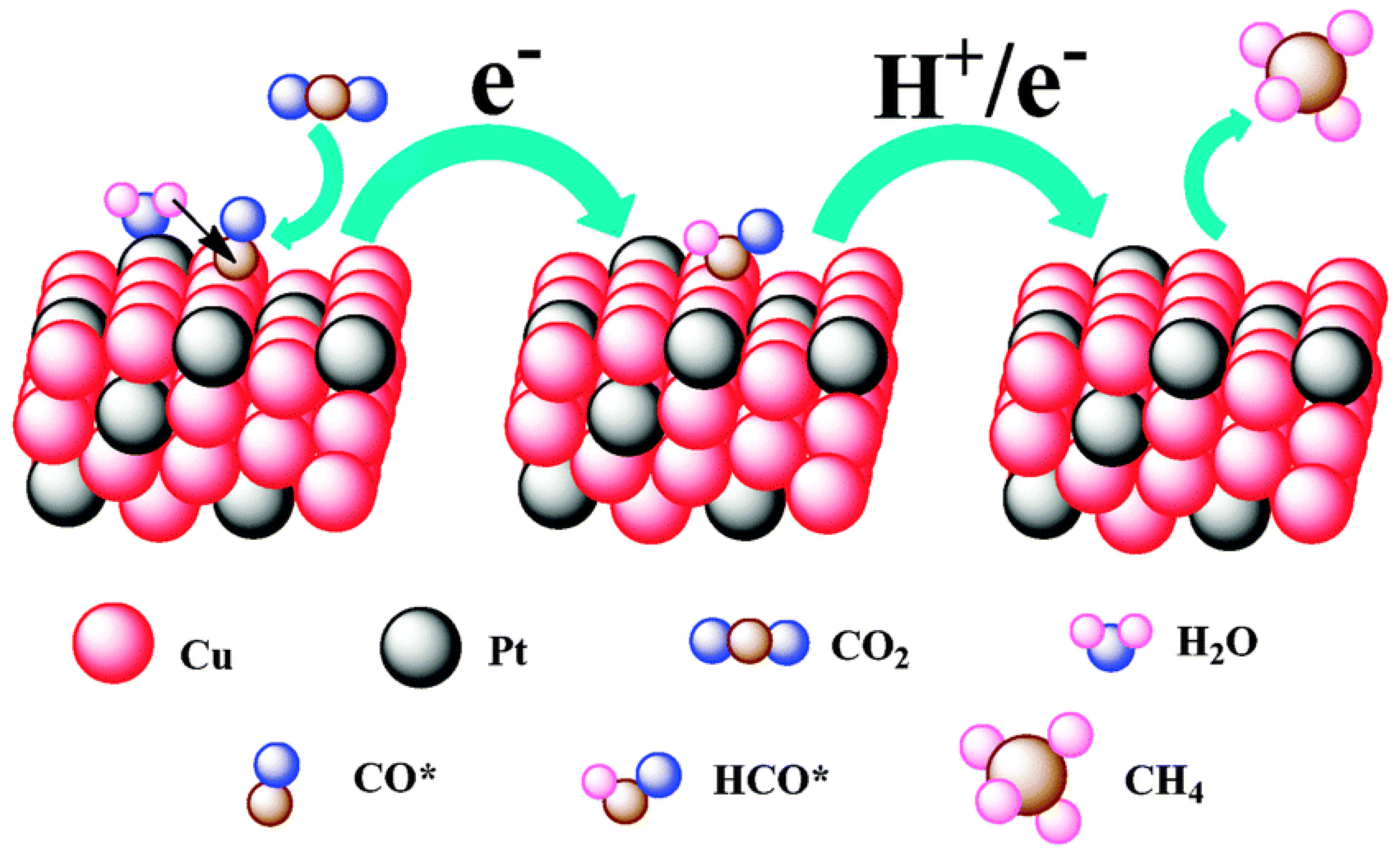 Catalysts 13 00644 g005