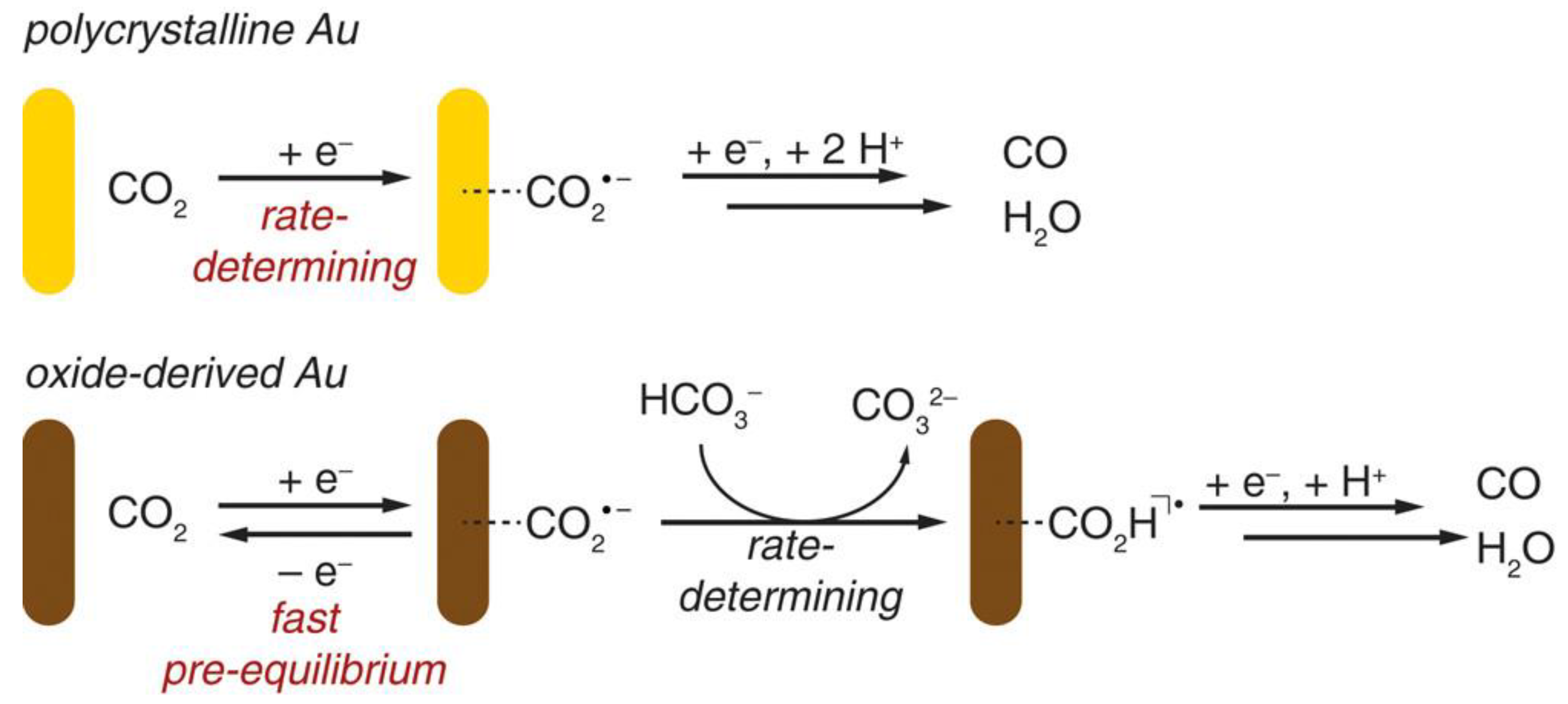 Catalysts 13 00644 g007