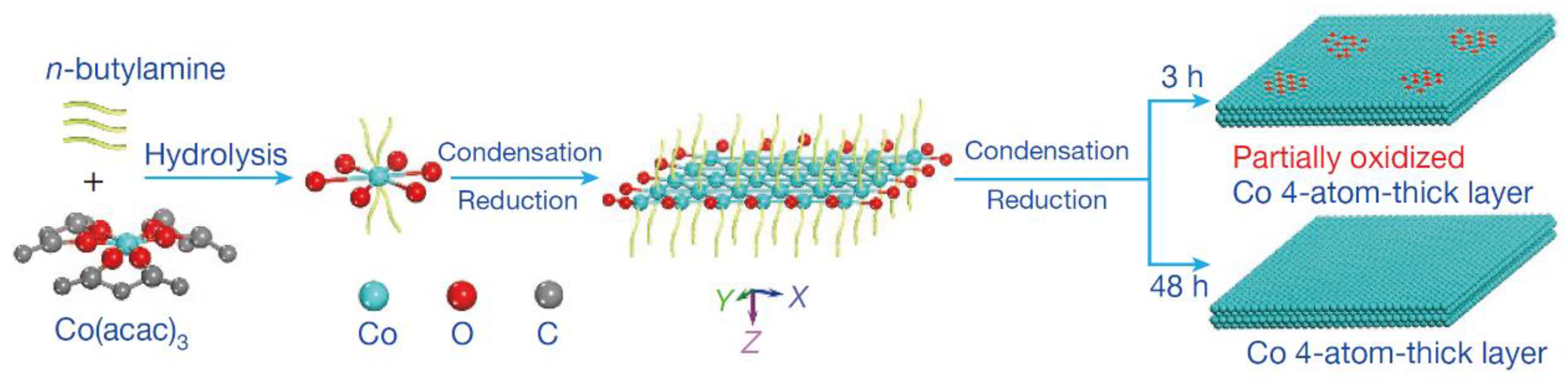 Catalysts 13 00644 g010