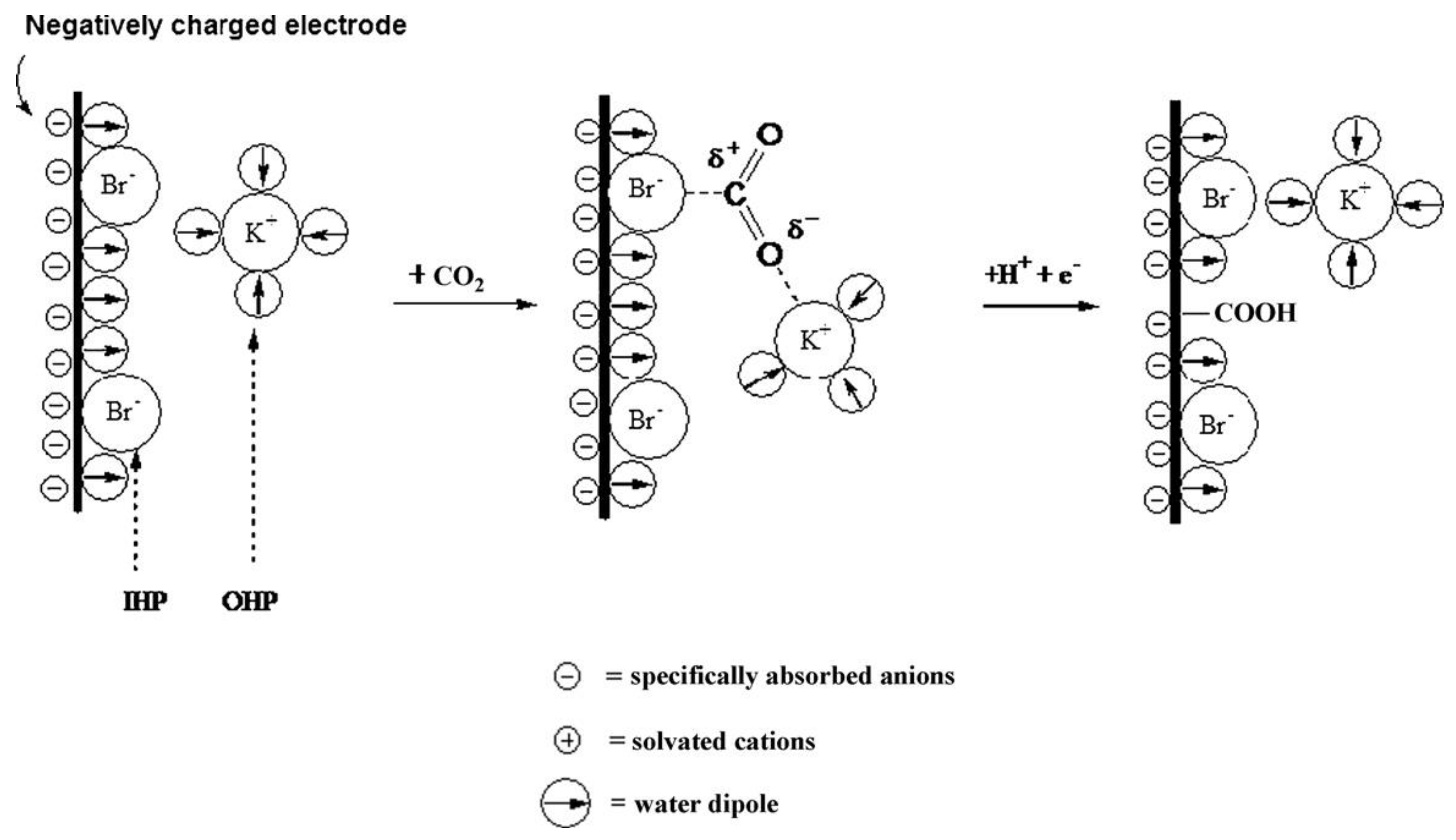 Catalysts 13 00644 g014