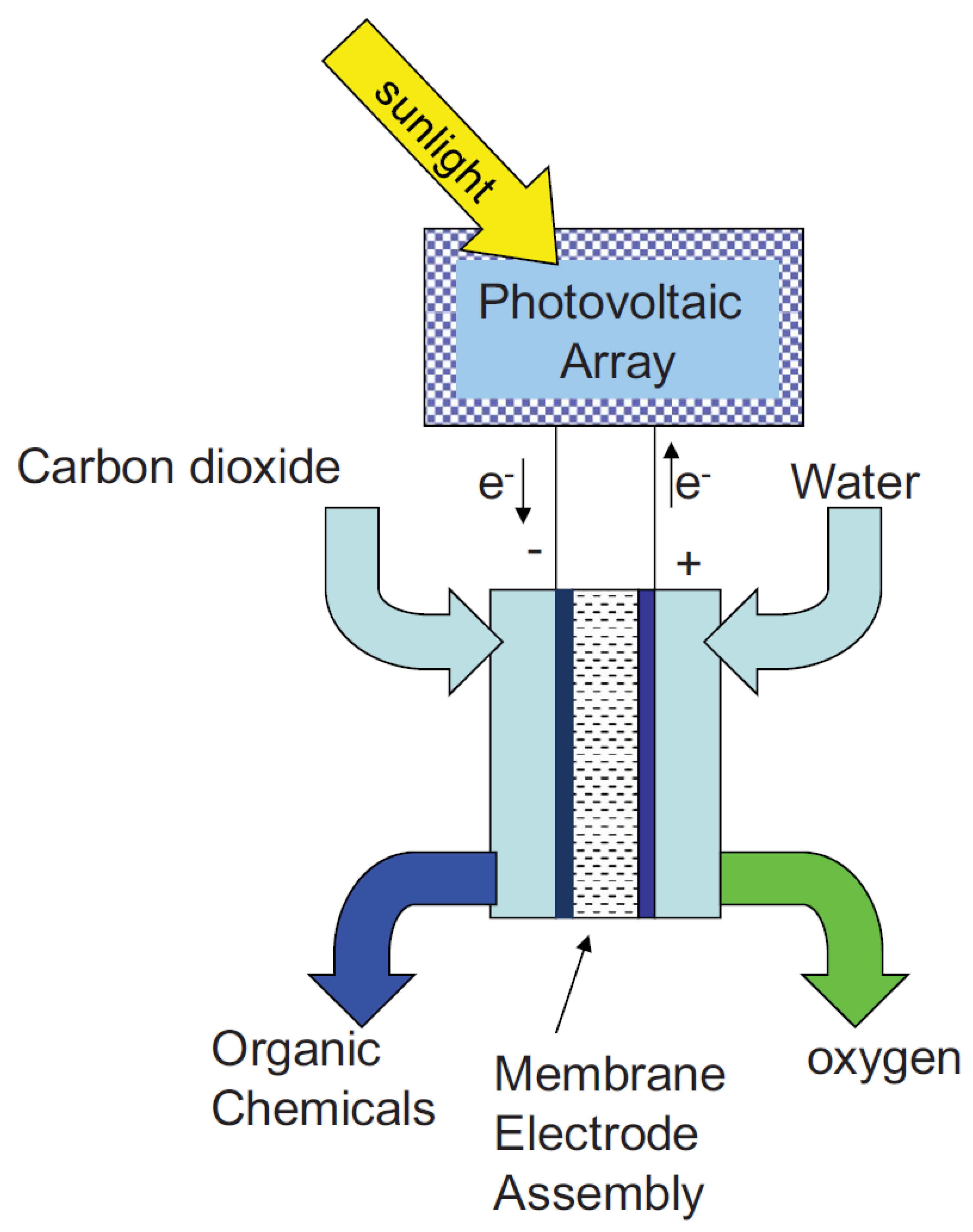 Catalysts 13 00644 g015