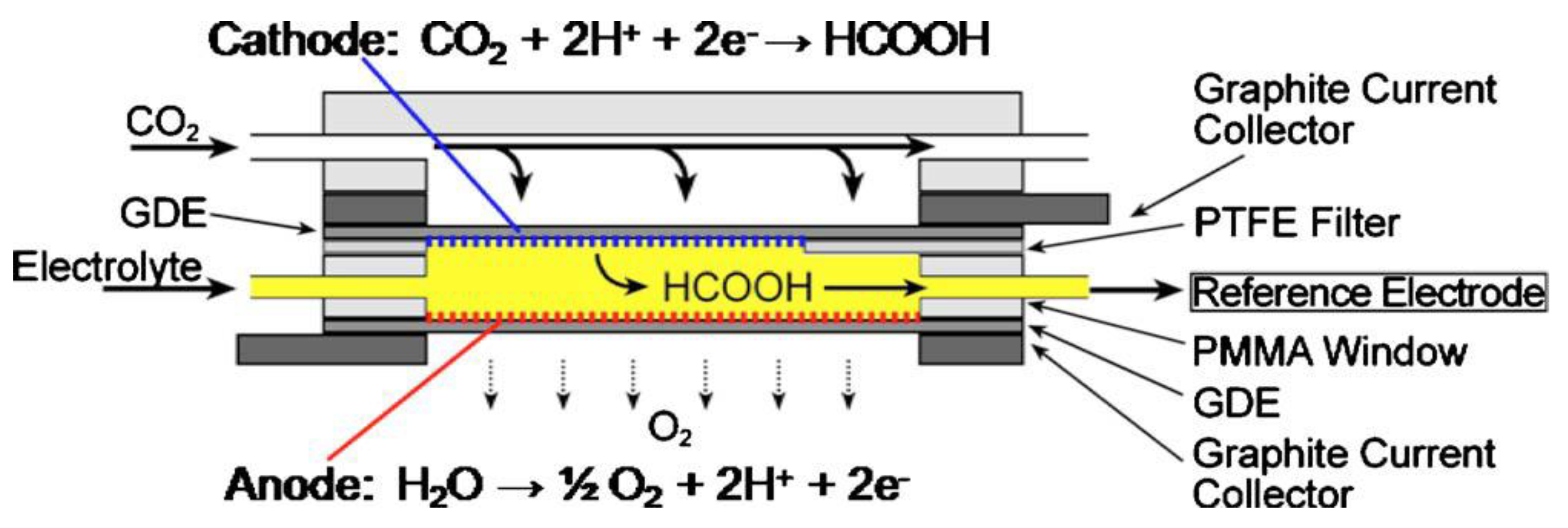 Catalysts 13 00644 g017