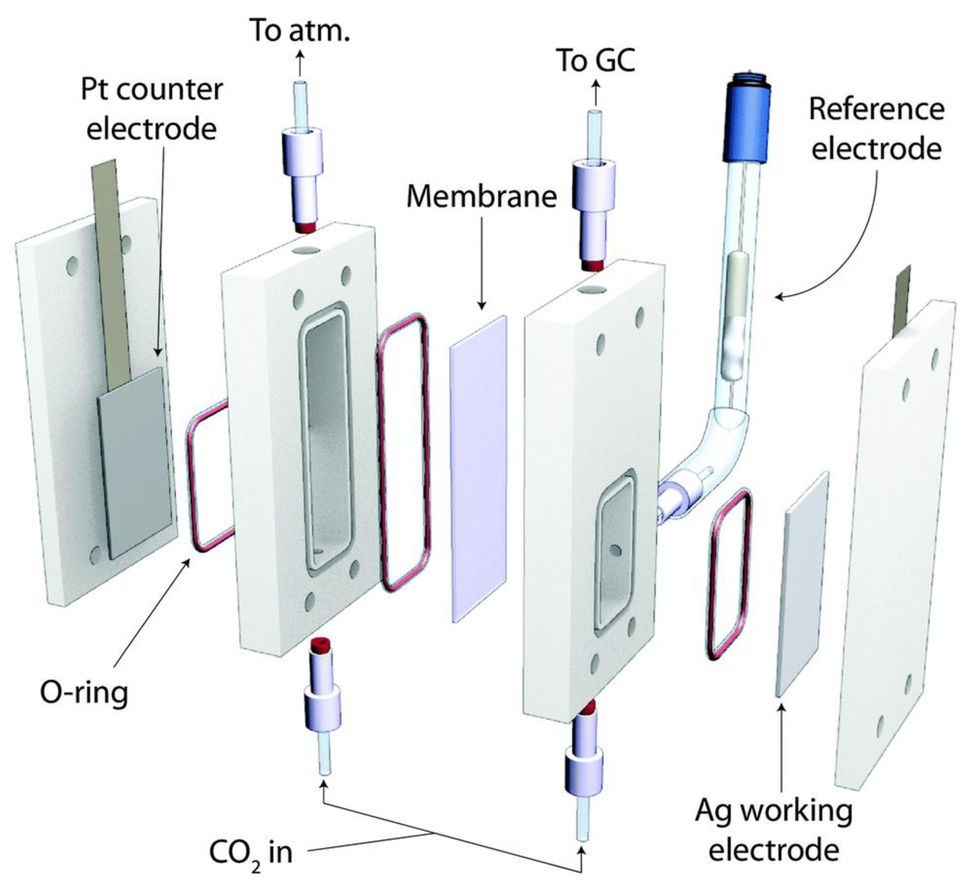 Catalysts 13 00644 g018
