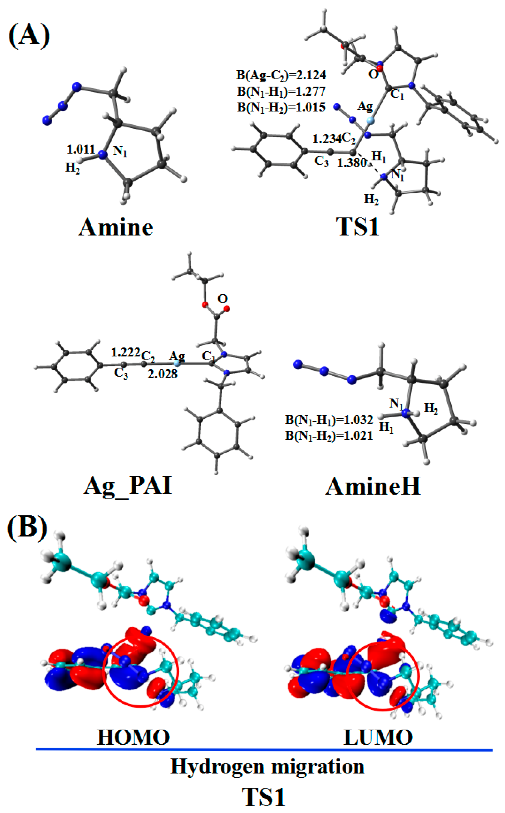 Catalysts 13 00646 g004