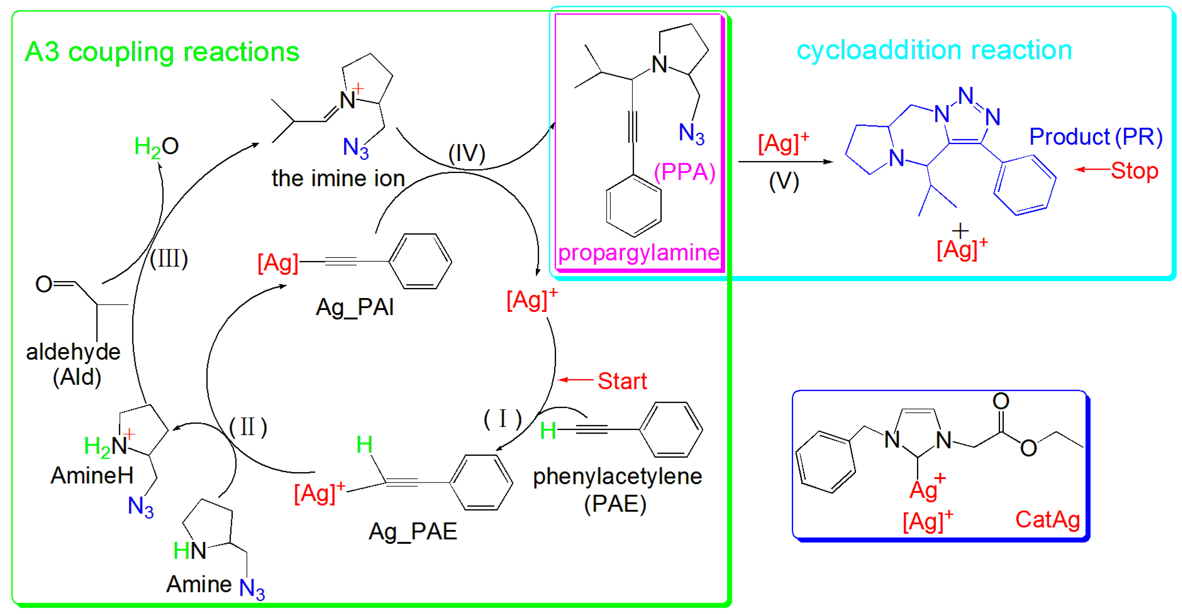 Catalysts 13 00646 sch001