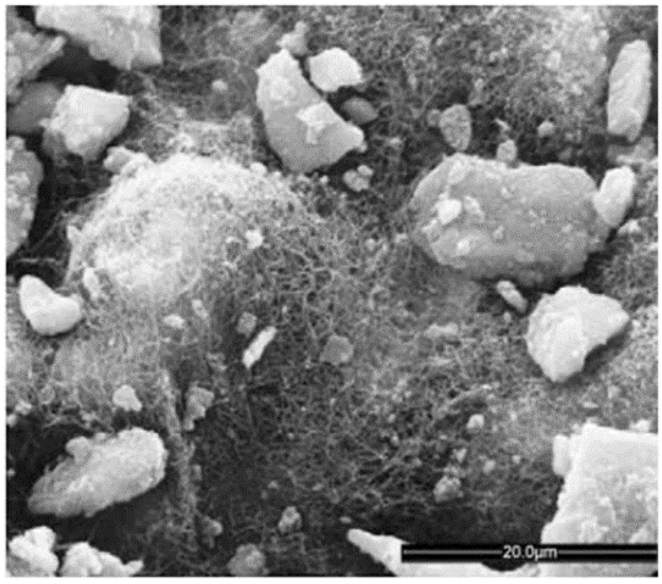 Catalysts 13 00647 g004