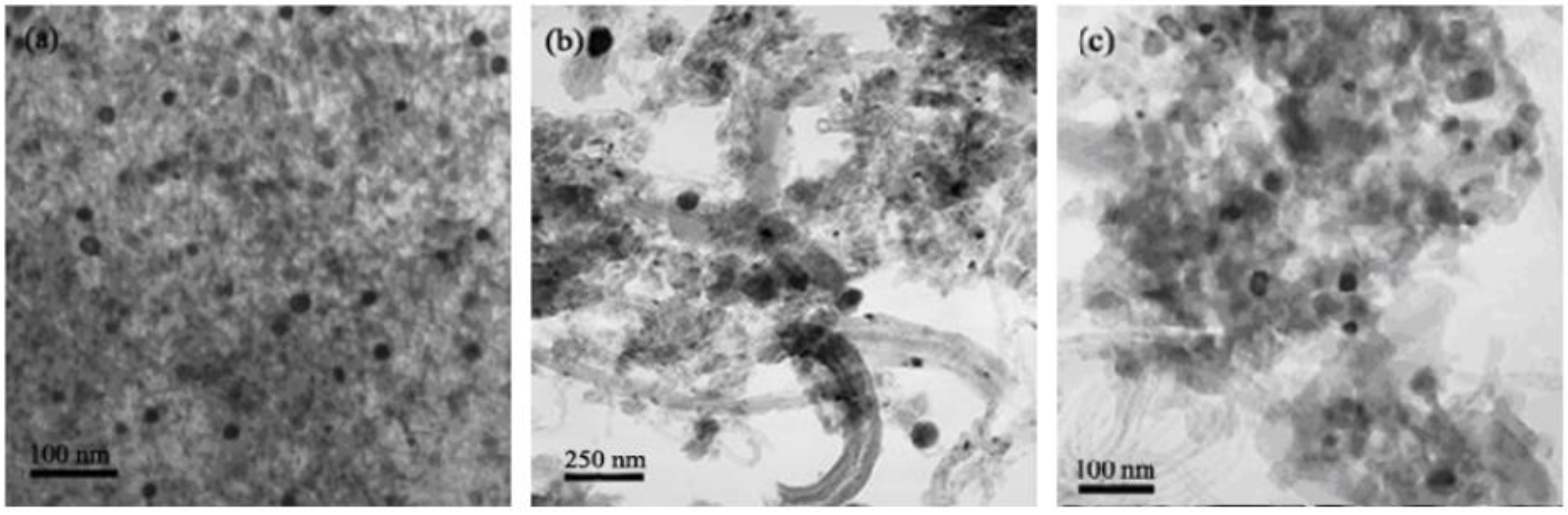 Catalysts 13 00647 g006