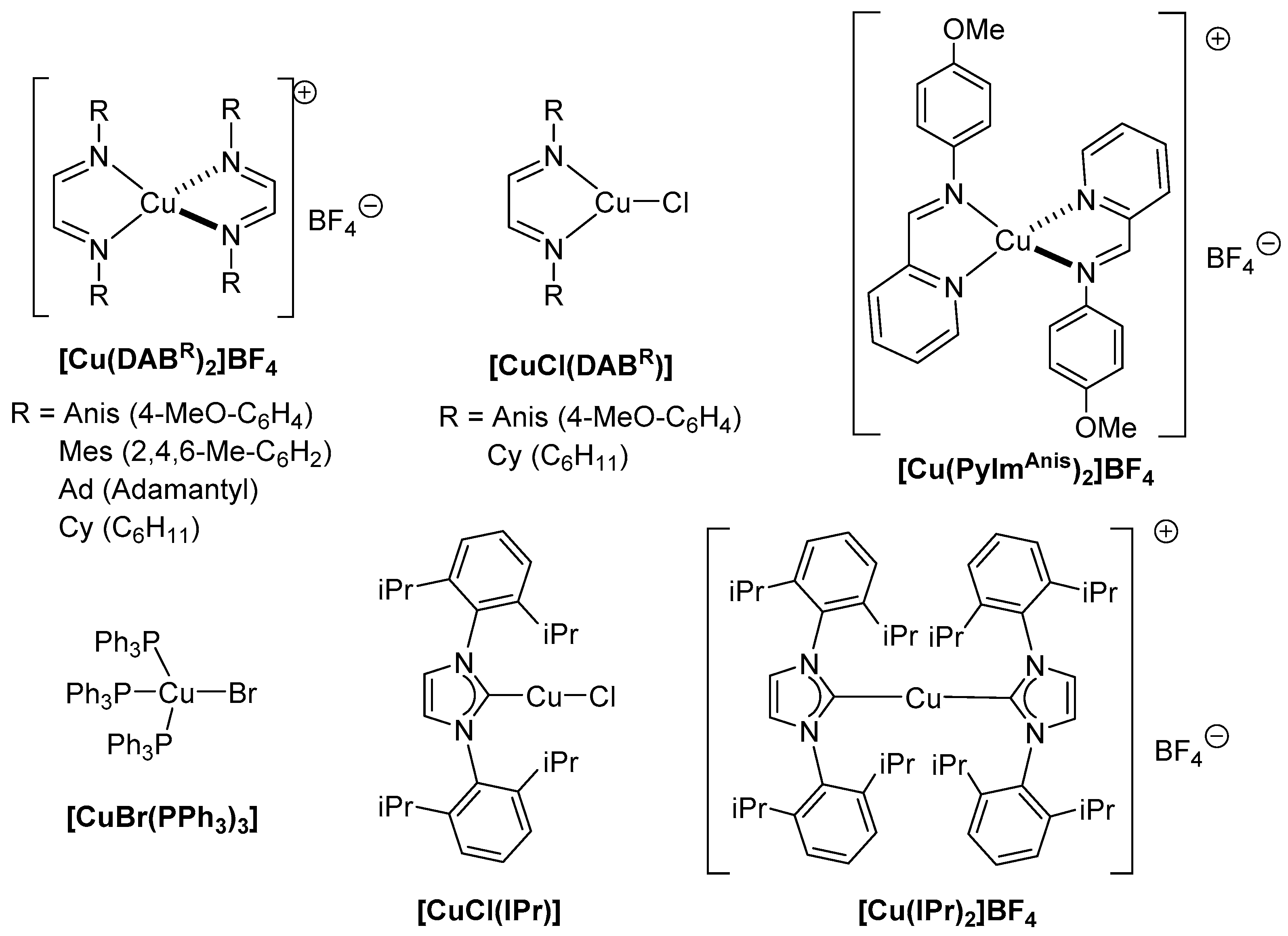 Catalysts 13 00648 g001