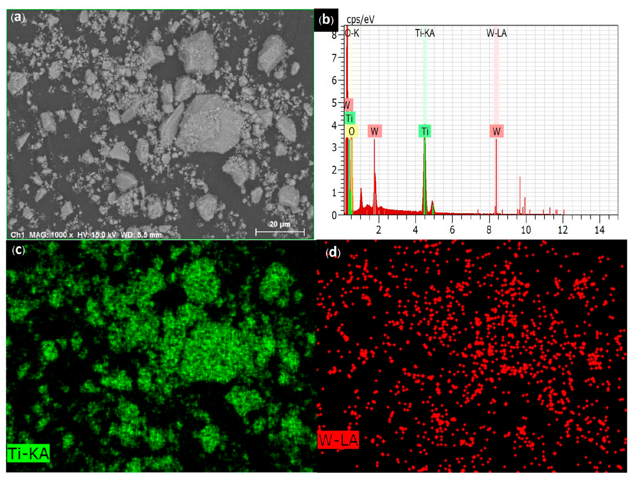 Catalysts 13 00649 g003
