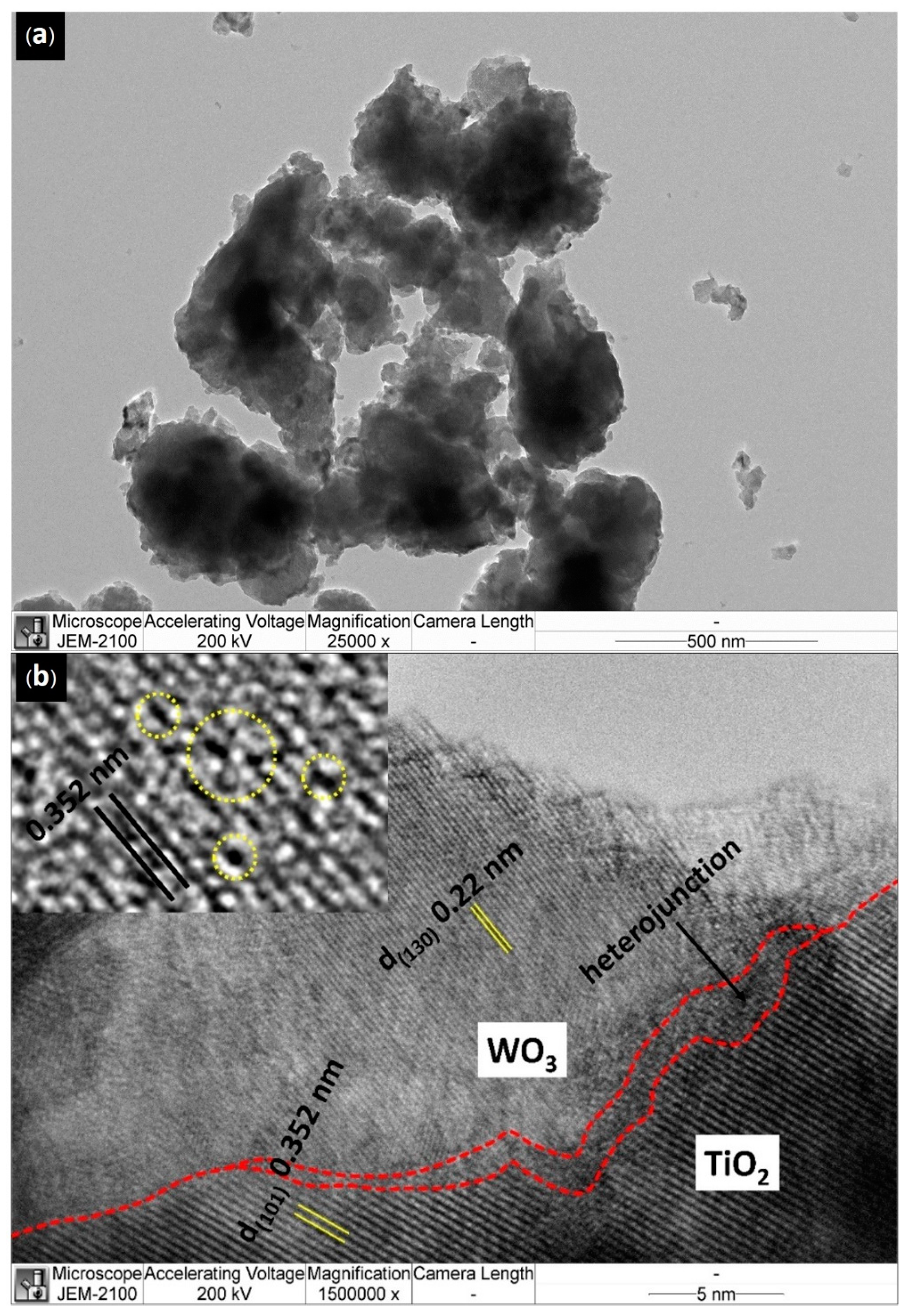 Catalysts 13 00649 g004