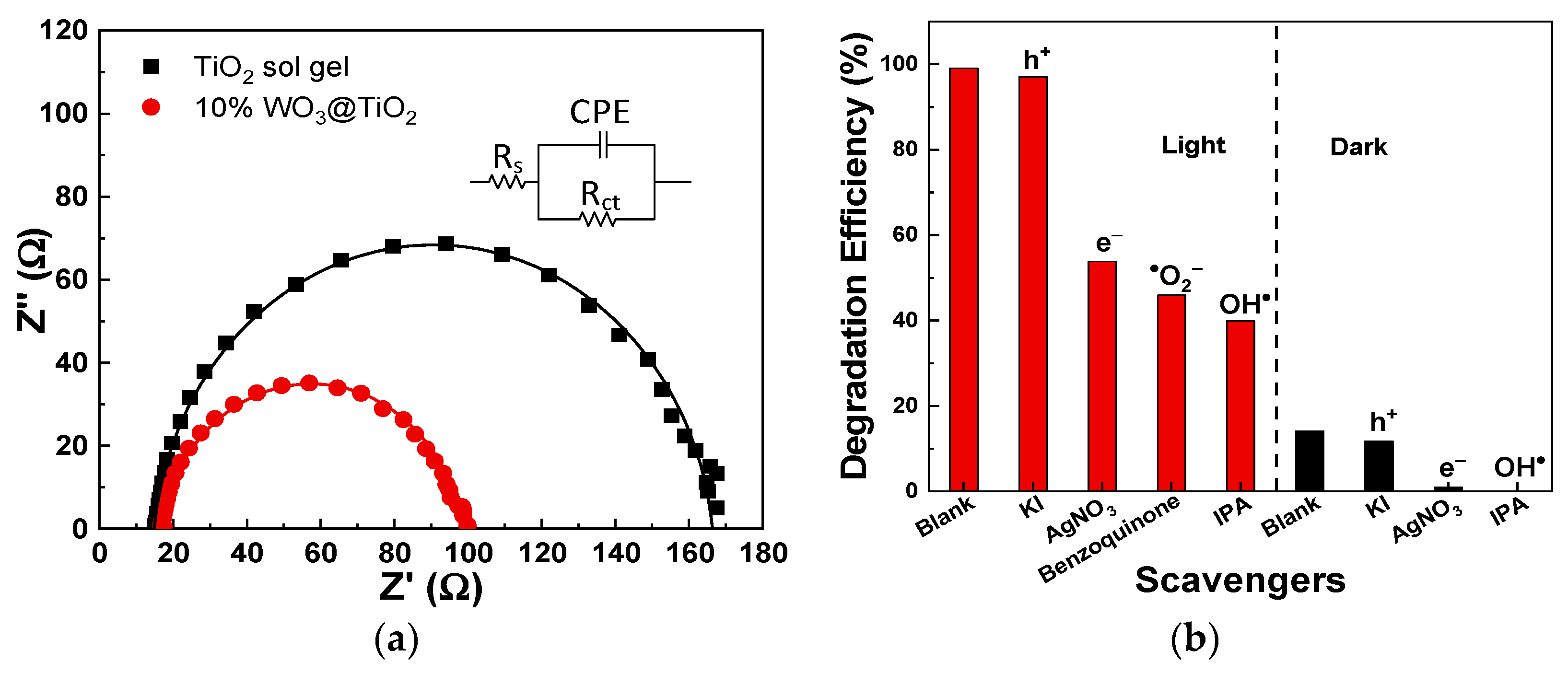 Catalysts 13 00649 g006