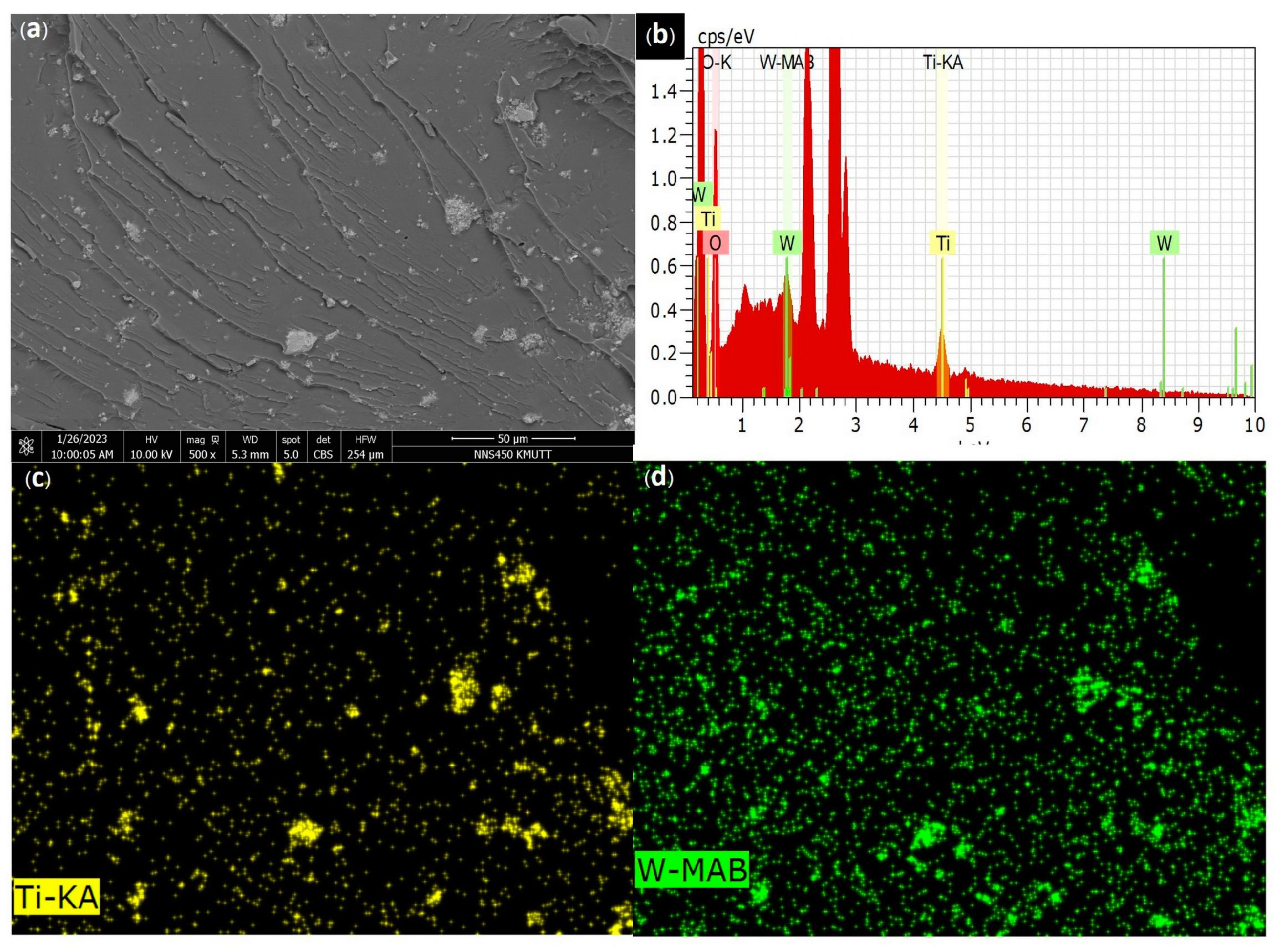 Catalysts 13 00649 g009
