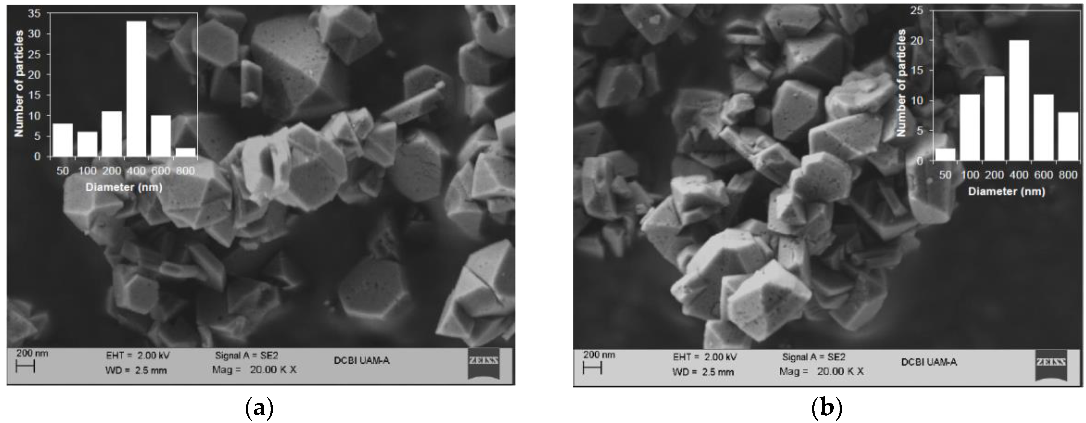 Catalysts 13 00652 g006a